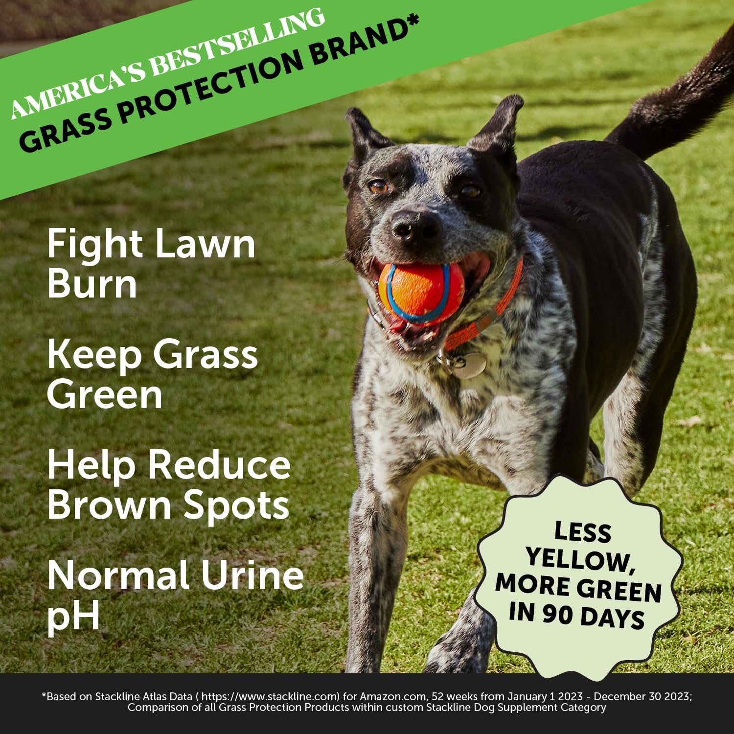 Dog Urine Neutralizer for Lawn - Grass Green Spot Saver with Probiotics and Cranberry - Grass Burn Chews with Apple Cider Vinegar - 90ct