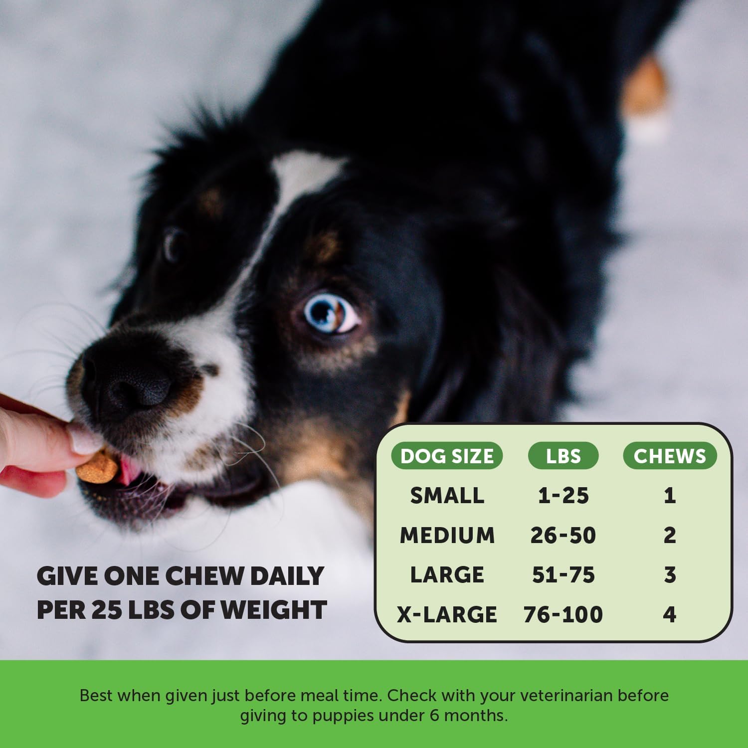 Dog Urine Neutralizer for Lawn - Grass Green Spot Saver with Probiotics and Cranberry - Grass Burn Chews with Apple Cider Vinegar - 90ct