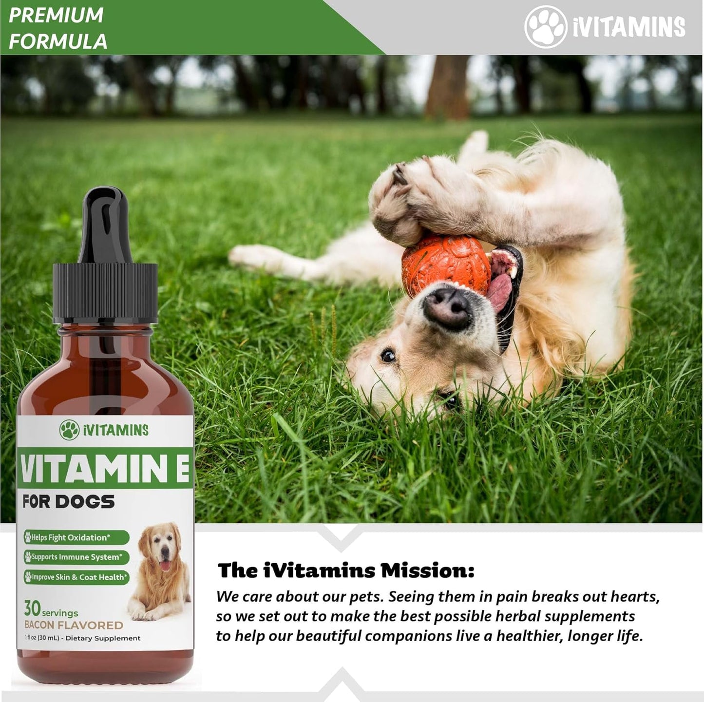 Dog Vitamin E Supplement for Immune Support - 1 fl oz