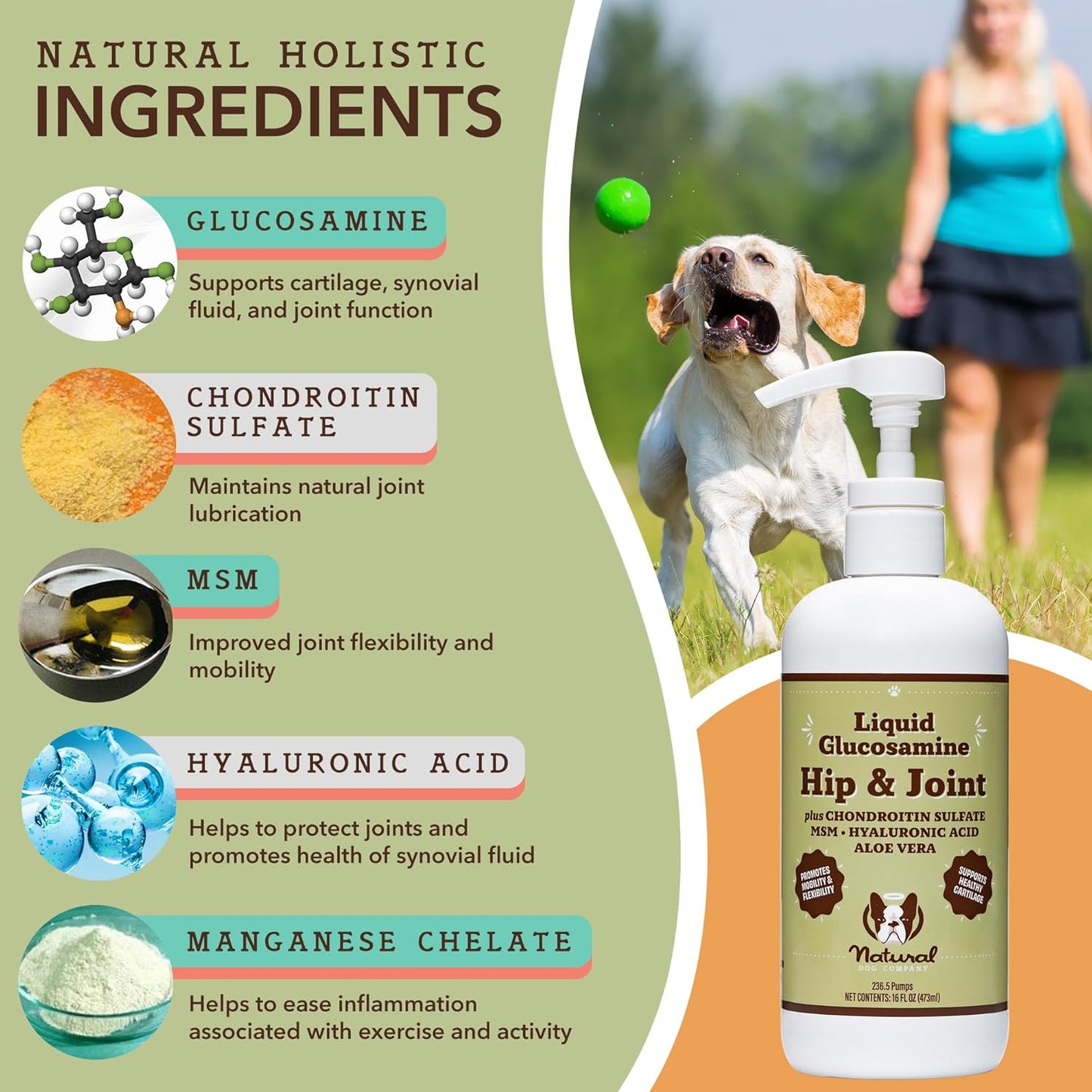 Dog Wellness Bundle: Wild Alaskan Salmon Oil, Liquid Glucosamine, Calming Oil - Natural Dog Company