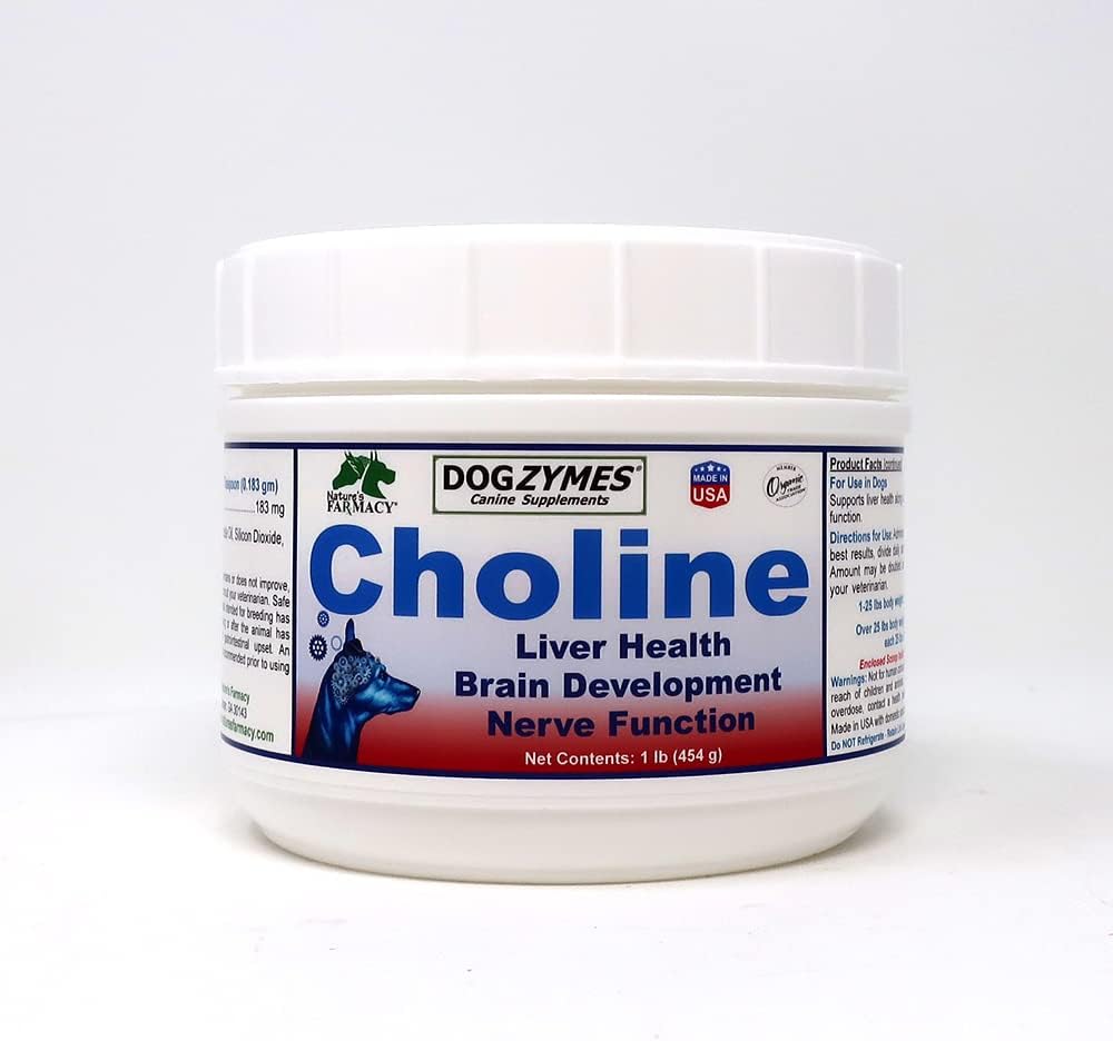 Dogzymes Choline Supplement for Brain Function, Seizures, Stroke Recovery & Liver Cleansing (1 lb)
