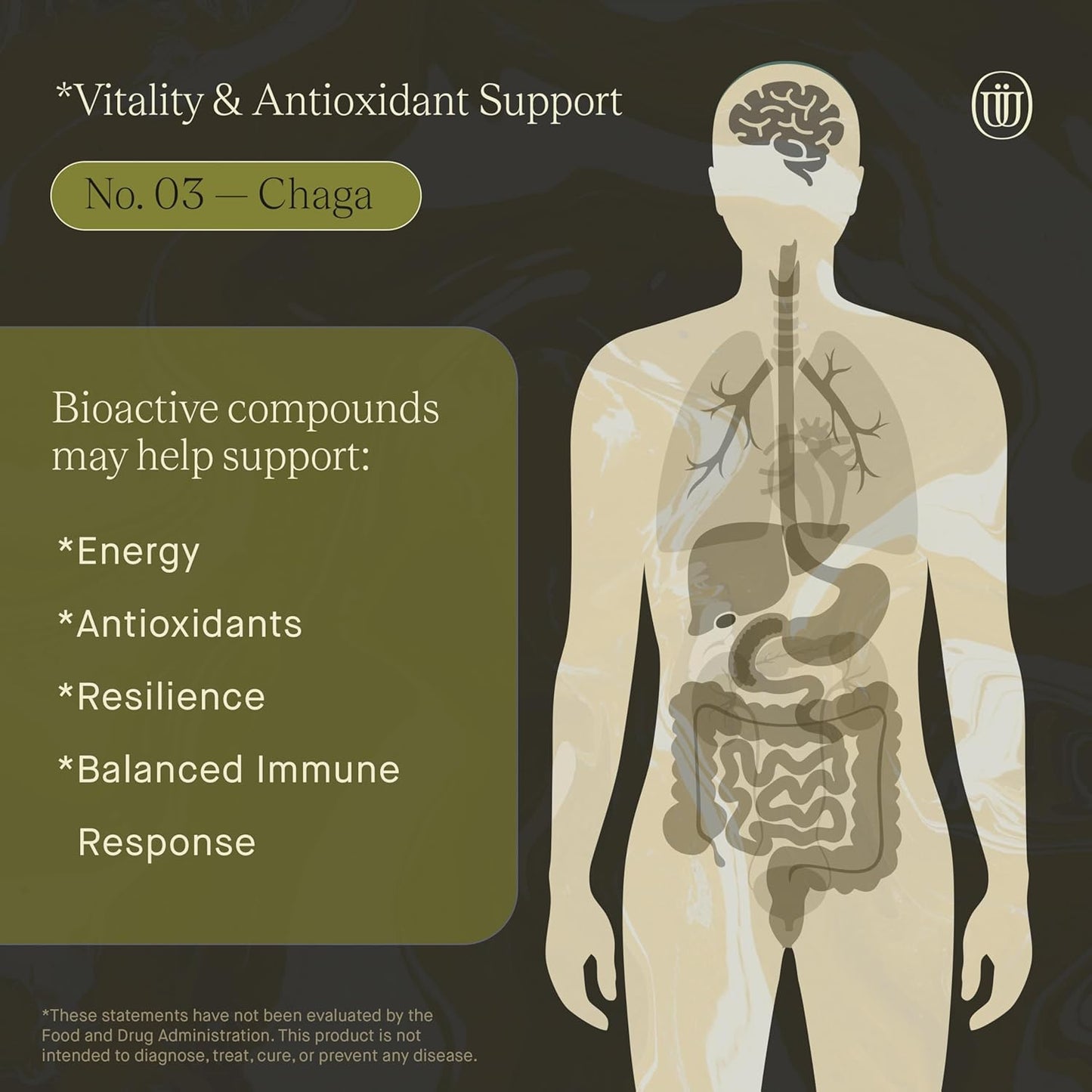 Double Extracted Chaga Mushroom Tincture for Hair, Skin, Nails - Antioxidant-Rich Fruitbody Extract (60 Servings)