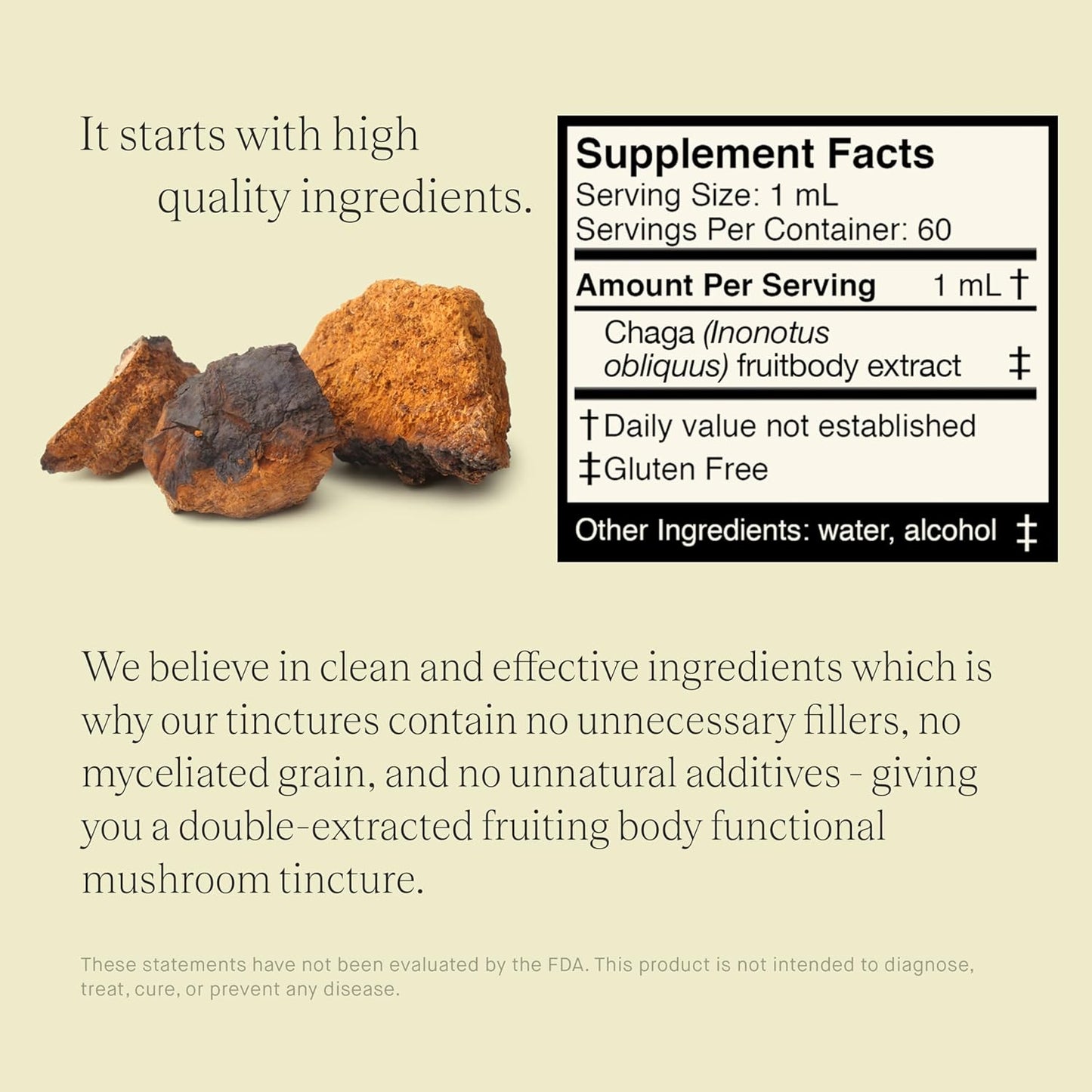 Double Extracted Chaga Mushroom Tincture for Hair, Skin, Nails - Antioxidant-Rich Fruitbody Extract (60 Servings)