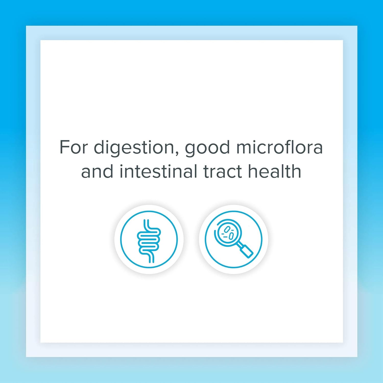 Double Strength Natural Factors Acidophilus & Bifidus Probiotic Prebiotic Formula - 90 Capsules