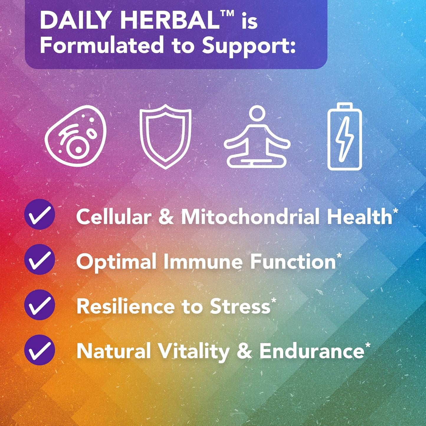Dr. Bill Rawls Vital Plan Daily Herbal Supplement - Immunity Booster with Reishi Mushroom, Turmeric, Rhodiola for Immune Support & Cell Health