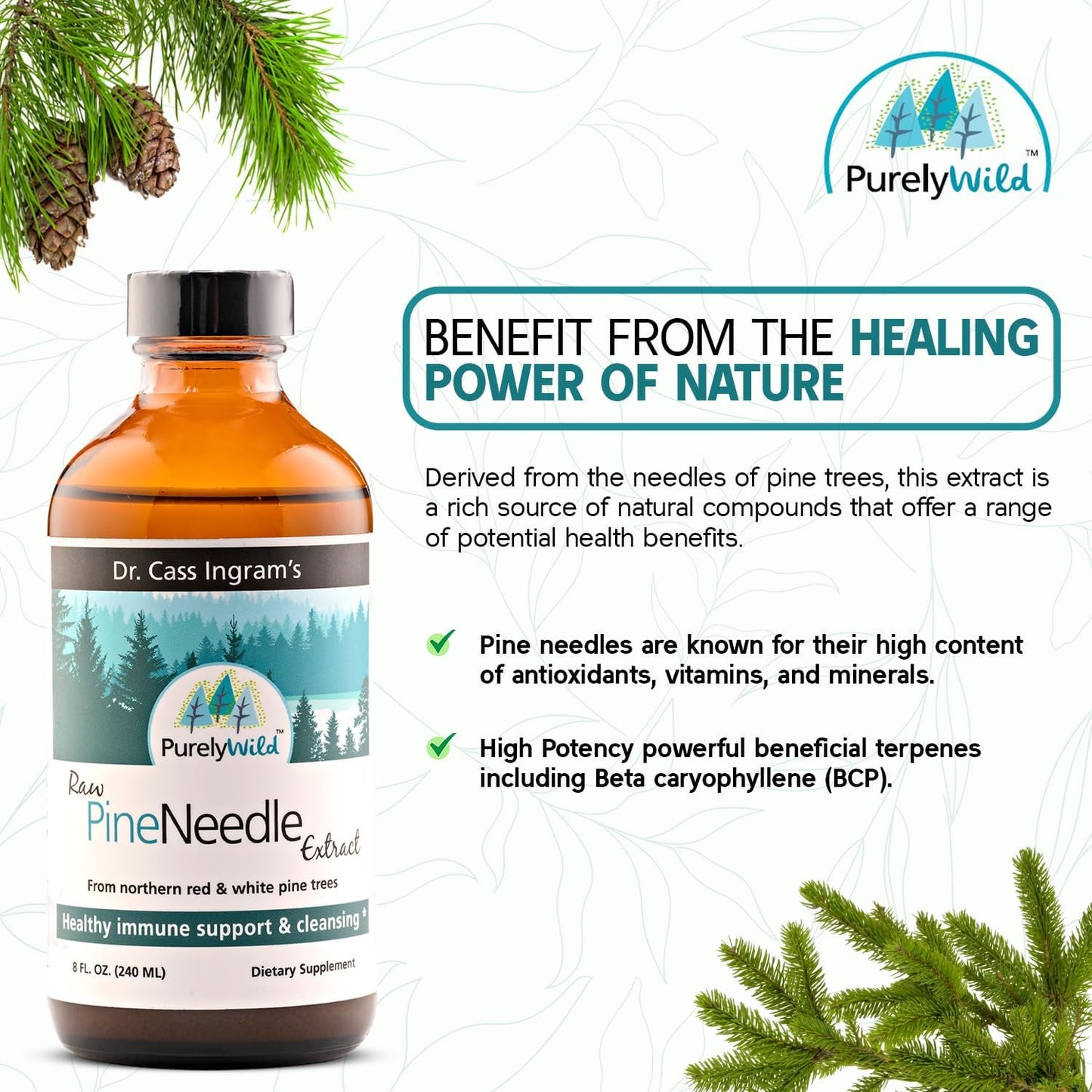 Dr. Cass Ingram PURELY WILD Pine Needle Extract Supplement - Immune Support with Pine, Spruce, Oregano Oil & Apple Cider Vinegar - 8 fl oz