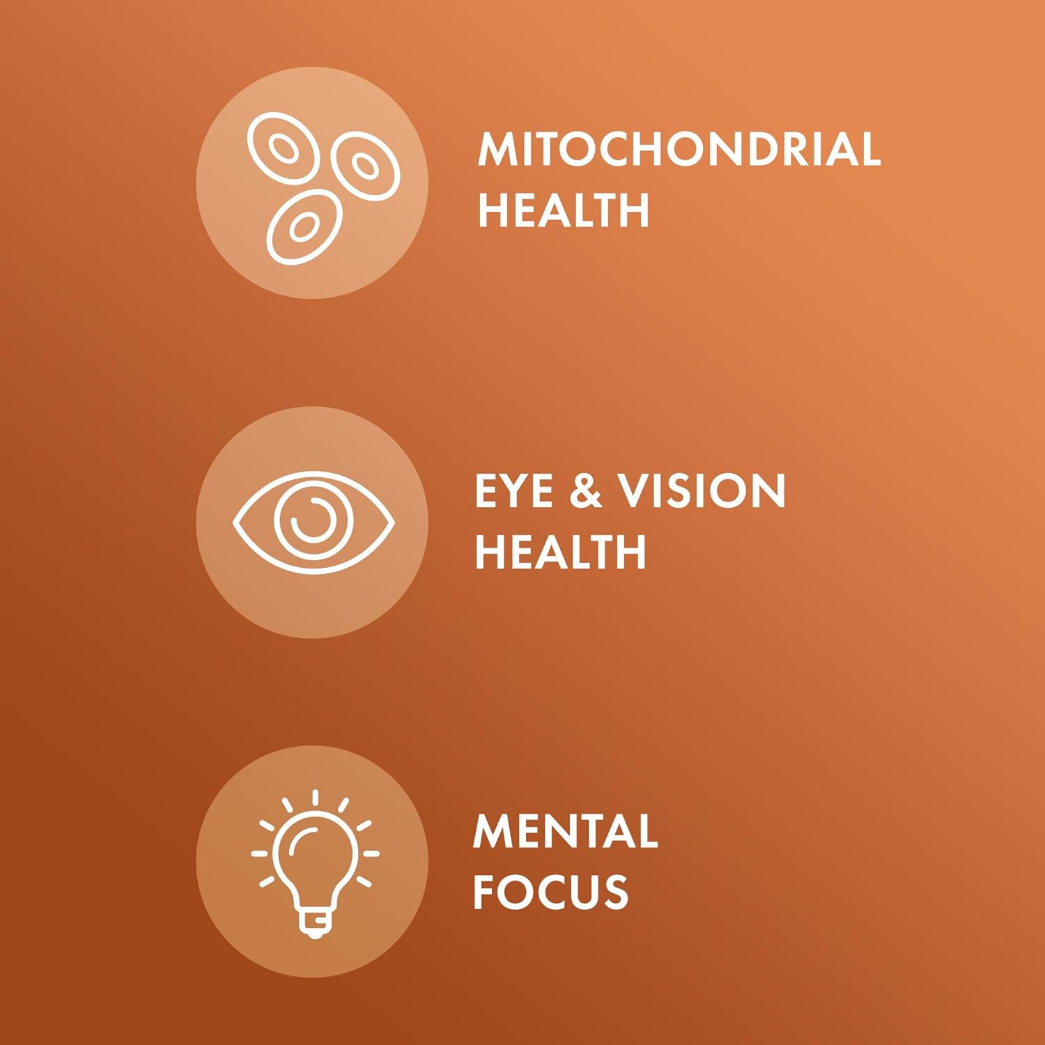 Dr. Mercola Curcumin Advanced Dietary Supplement - 30 Servings, 500 mg Per Capsule - Supports Vision Health and Mental Focus - Non-GMO