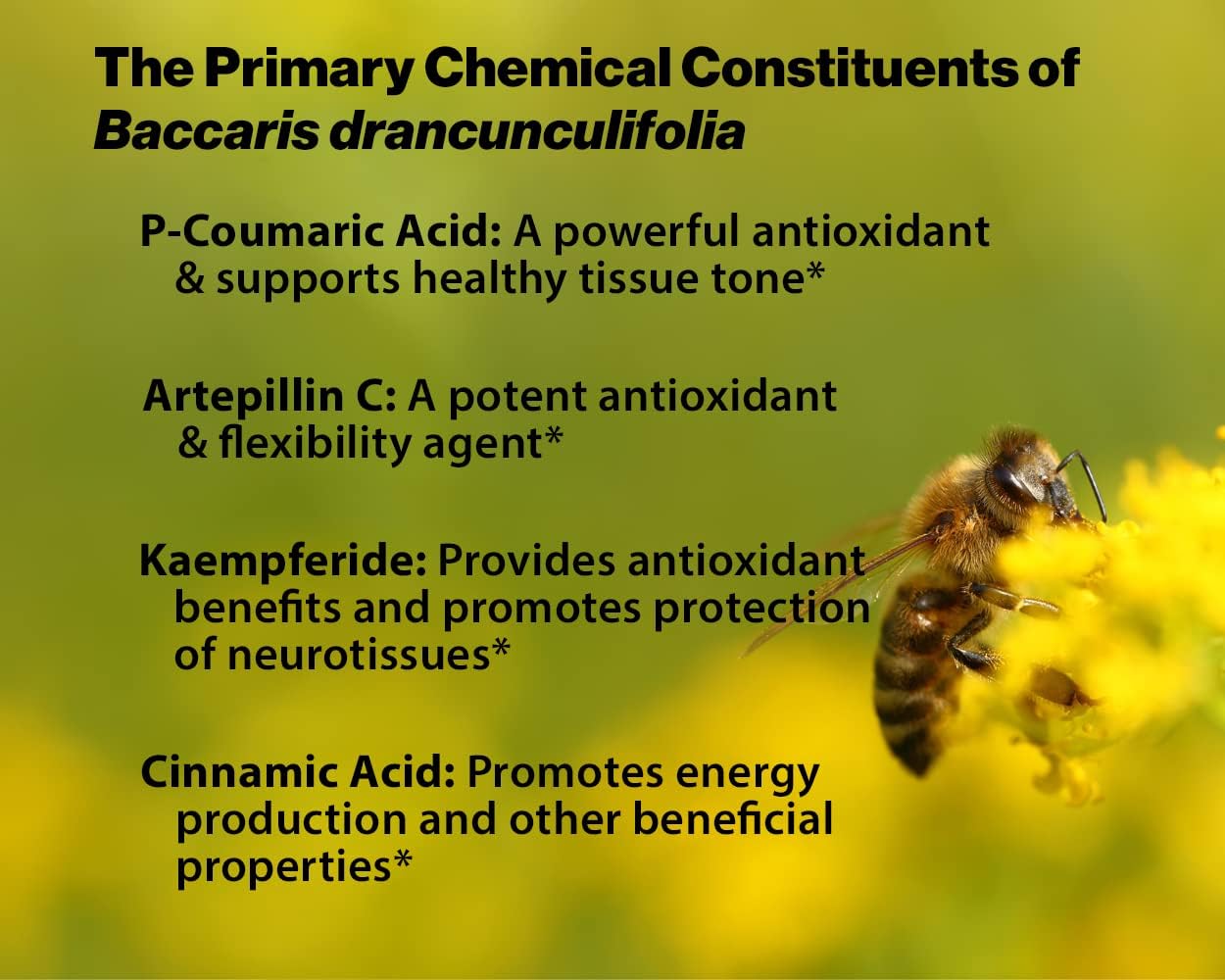 Dr. Ohhira's Propolis Plus Capsules: Brazilian Green Propolis, Probiotic Extract, Astaxanthin - 60 Count