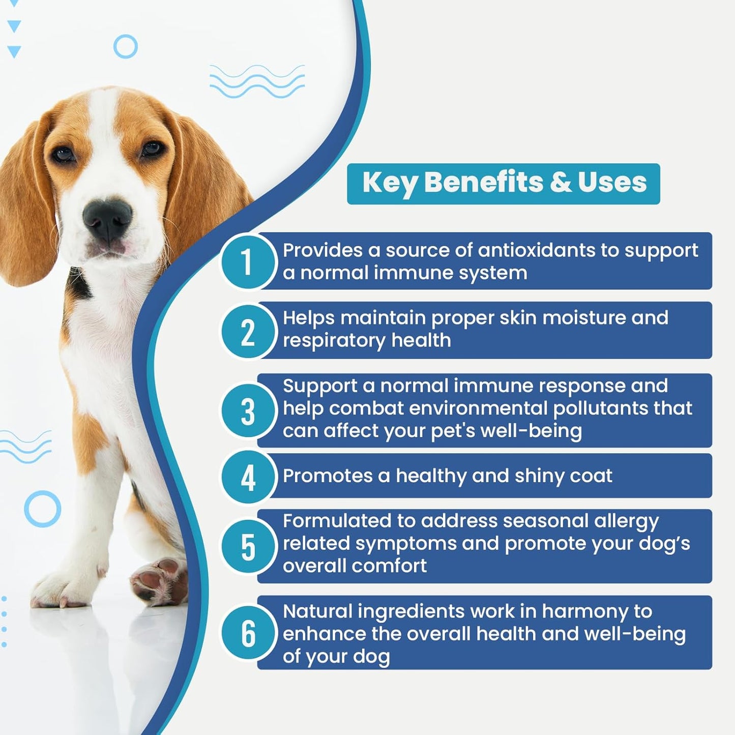 Dr. Rachel's Antioxidant-Rich Allergy and Immune Chews for Dogs - Skin, Coat, and Respiratory Support - Omega-3 Supplement - 60ct