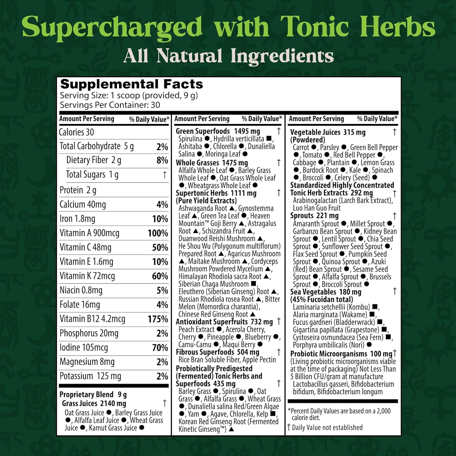 Dragon Herbs Tonic Alchemy Superfood Greens Powder - 91 Ingredients including Ashwagandha, Mushrooms, Probiotics - 30 Servings