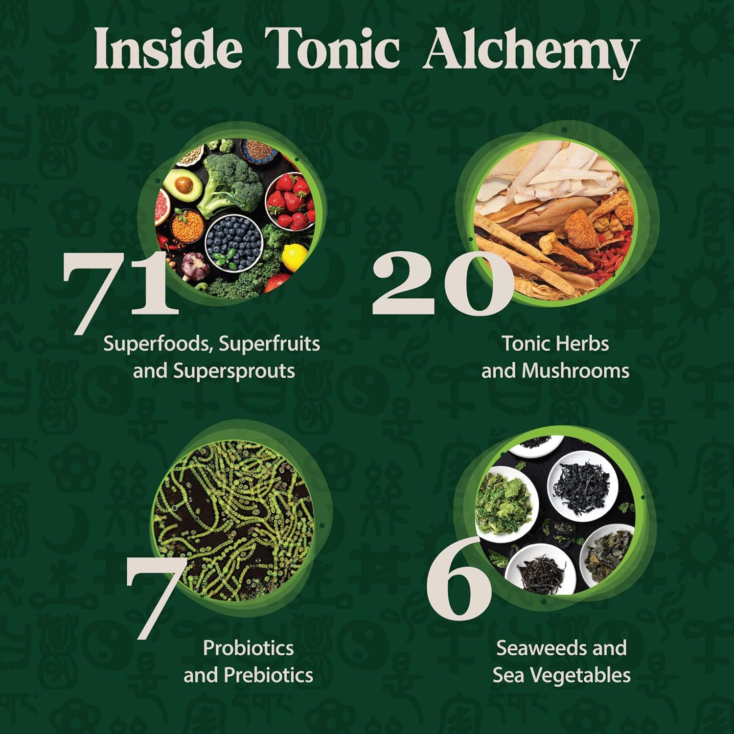 Dragon Herbs Tonic Alchemy Superfood Greens Powder - 91 Ingredients including Ashwagandha, Mushrooms, Probiotics - 30 Servings