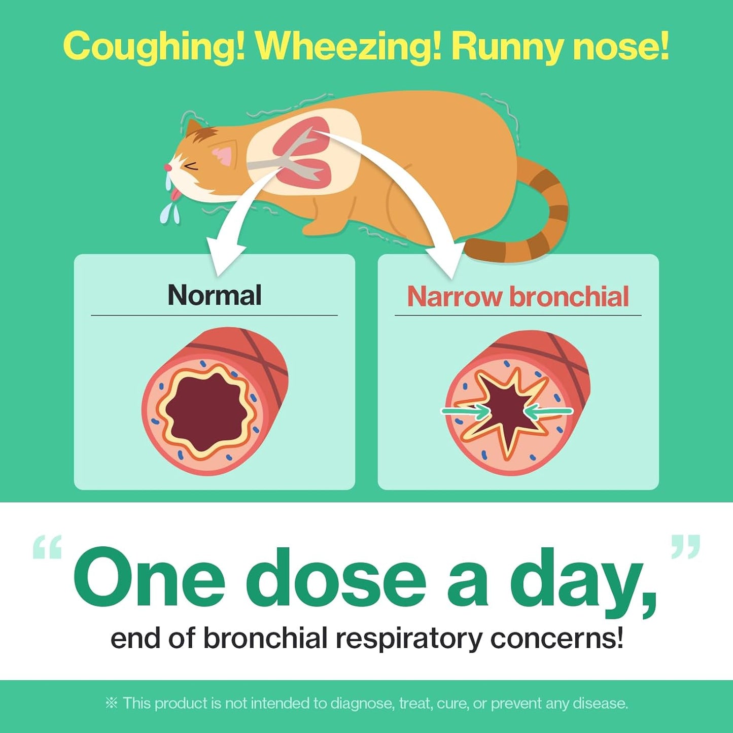 Dr.by Cat Breath Bronchial Supplements for Cat Sneezing, Asthma, Cold, and Cough Relief - Supports Respiratory Function and Immune Health - 30 Individually Packaged Chicken Treats