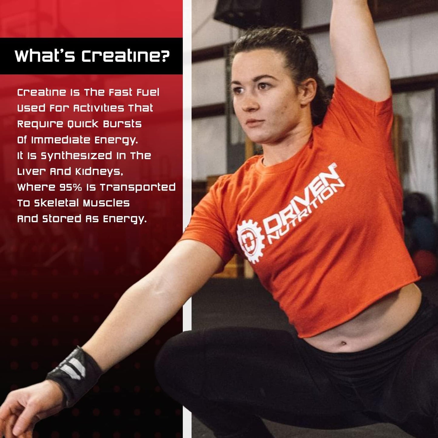 Driven Nutrition Creatine Powder - Unflavored Micronized 200g - Enhances Physical Performance, Cognition, Strength, Muscle Mass, Endurance, Speed - 5g Per Serving to Reduce Fatigue