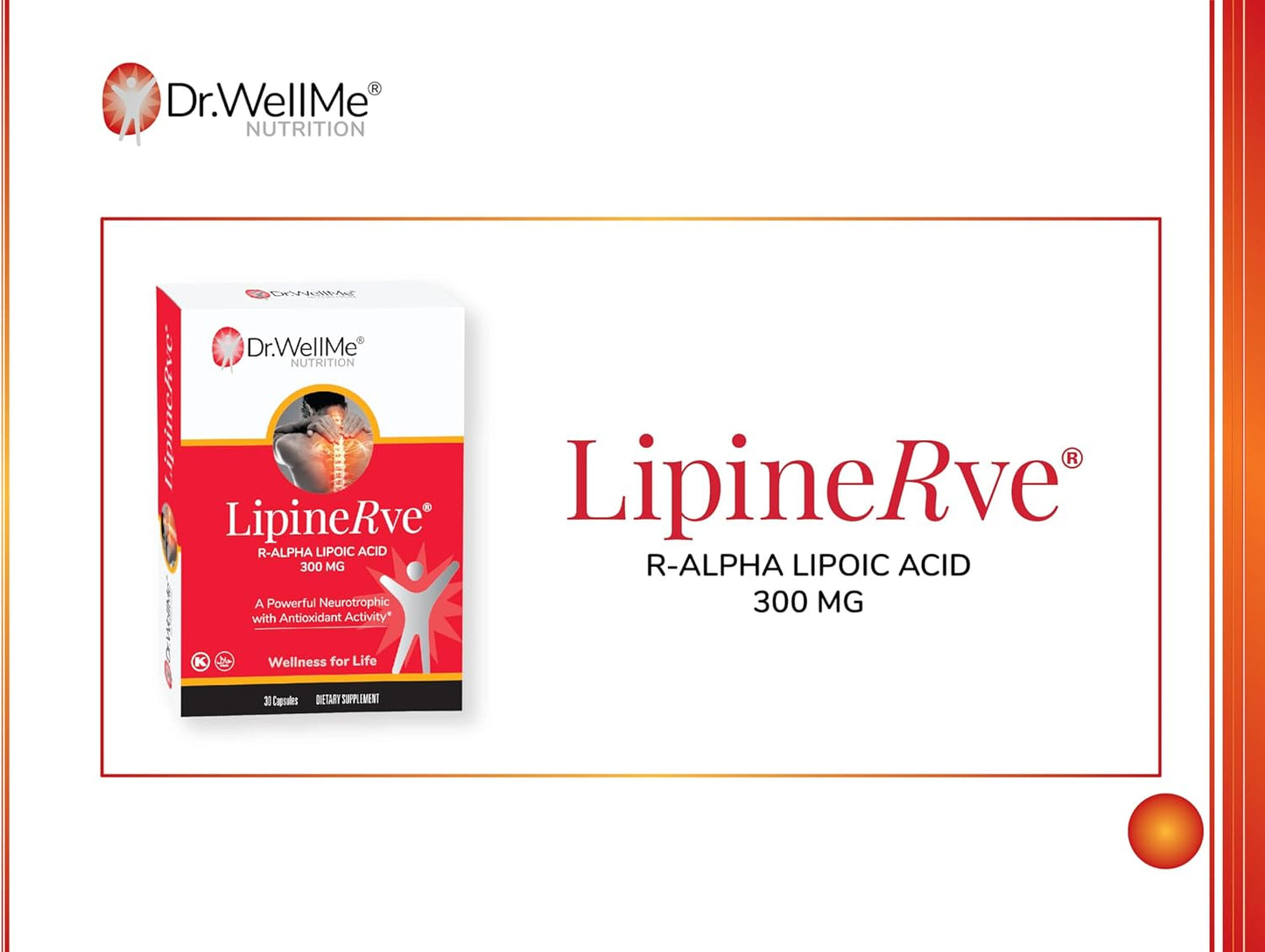 Dr.WellMe Lipinerve R Alpha Lipoic Acid 300mg Capsules - Antioxidant Supplement, Kosher/Halal, 30 Count USA Made