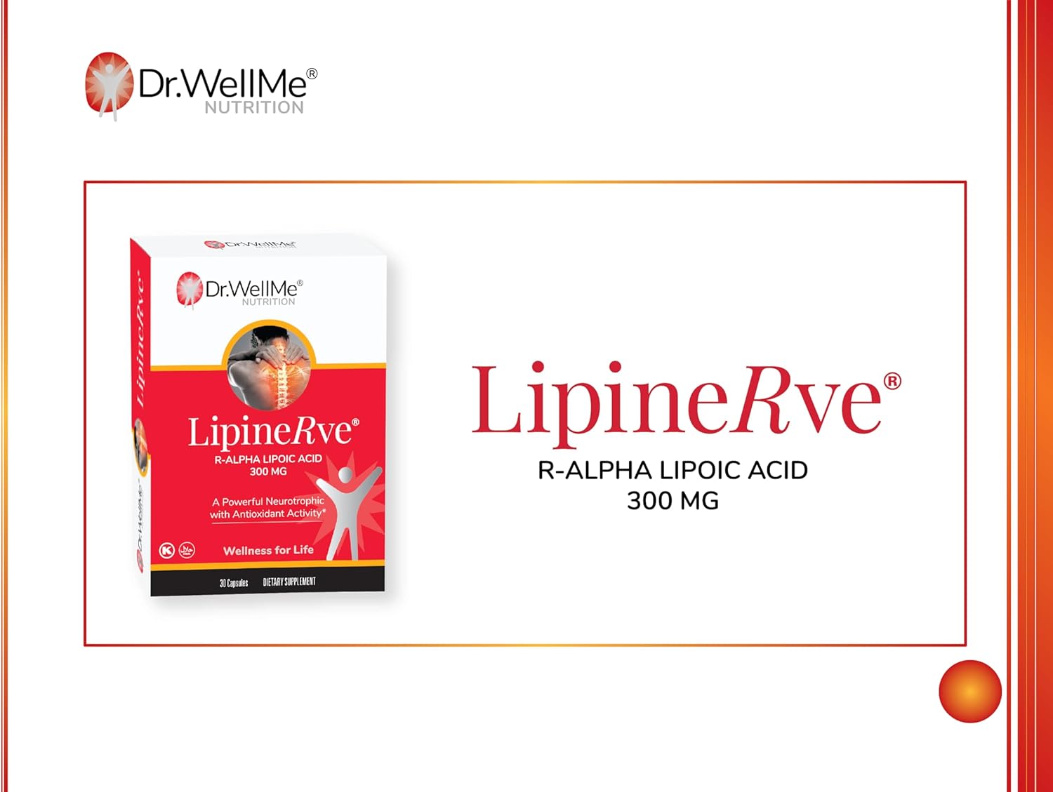 Dr.WellMe Lipinerve R Alpha Lipoic Acid 300mg Capsules - Antioxidant Supplement, Kosher/Halal, 30 Count USA Made