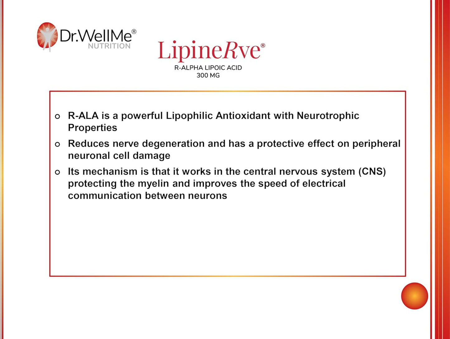 Dr.WellMe Lipinerve R Alpha Lipoic Acid 300mg Capsules - Antioxidant Supplement, Kosher/Halal, 30 Count USA Made