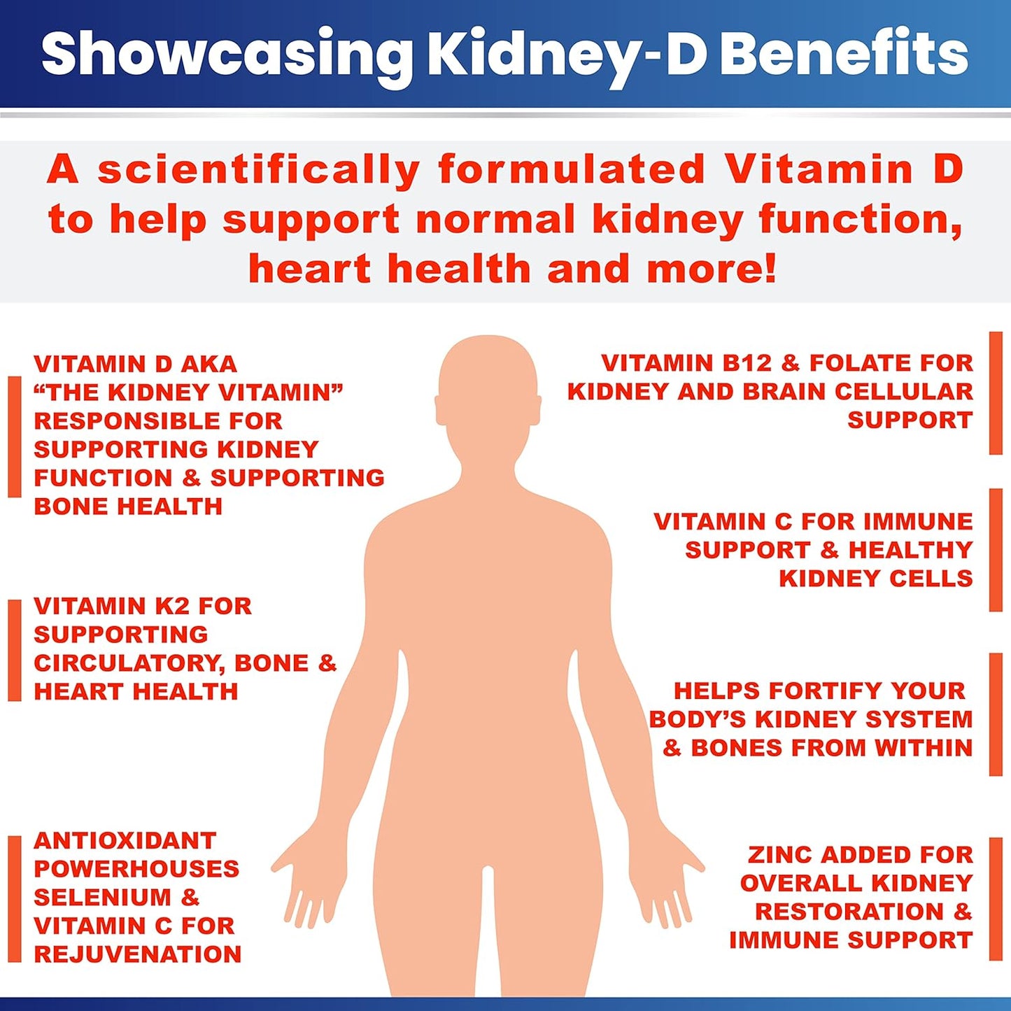 Dual Action Kidney Support Capsules with Vitamin D Antioxidants, Probiotics, & Cleansing Agents