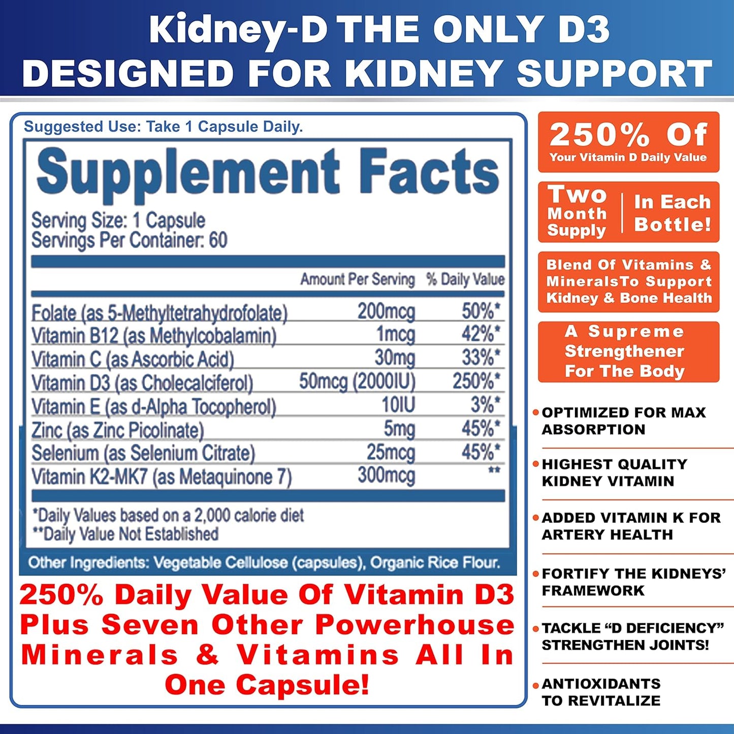 Dual Action Kidney Support Capsules with Vitamin D Antioxidants, Probiotics, & Cleansing Agents