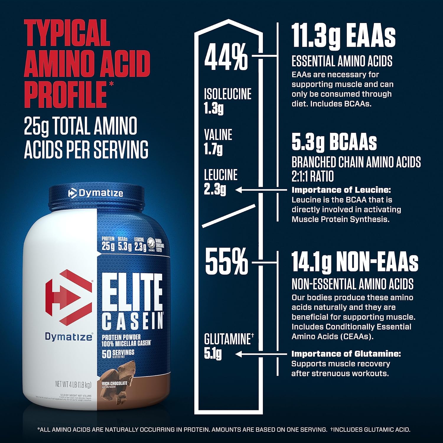 Dymatize Elite Casein Protein Powder, Rich Chocolate Flavor, 4lb - Slow Absorbing 25g Protein with BCAAs for Muscle Building & Recovery