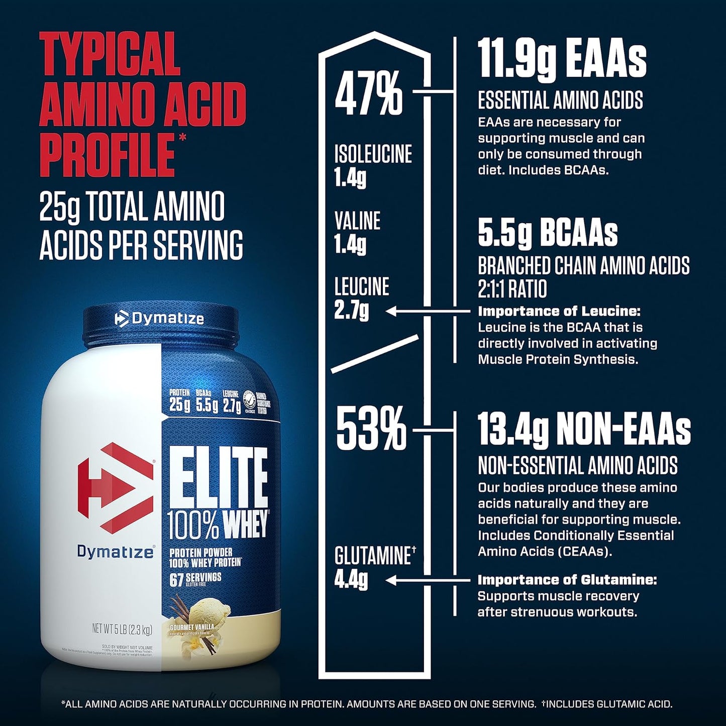 Dymatize Elite Gourmet Vanilla Whey Protein Powder - 5lb, 67 Servings, 25g Protein, 5.5g BCAAs, 2.7g L-Leucine - Fast Absorbing formula for Muscle Recovery - BoostGo Australia