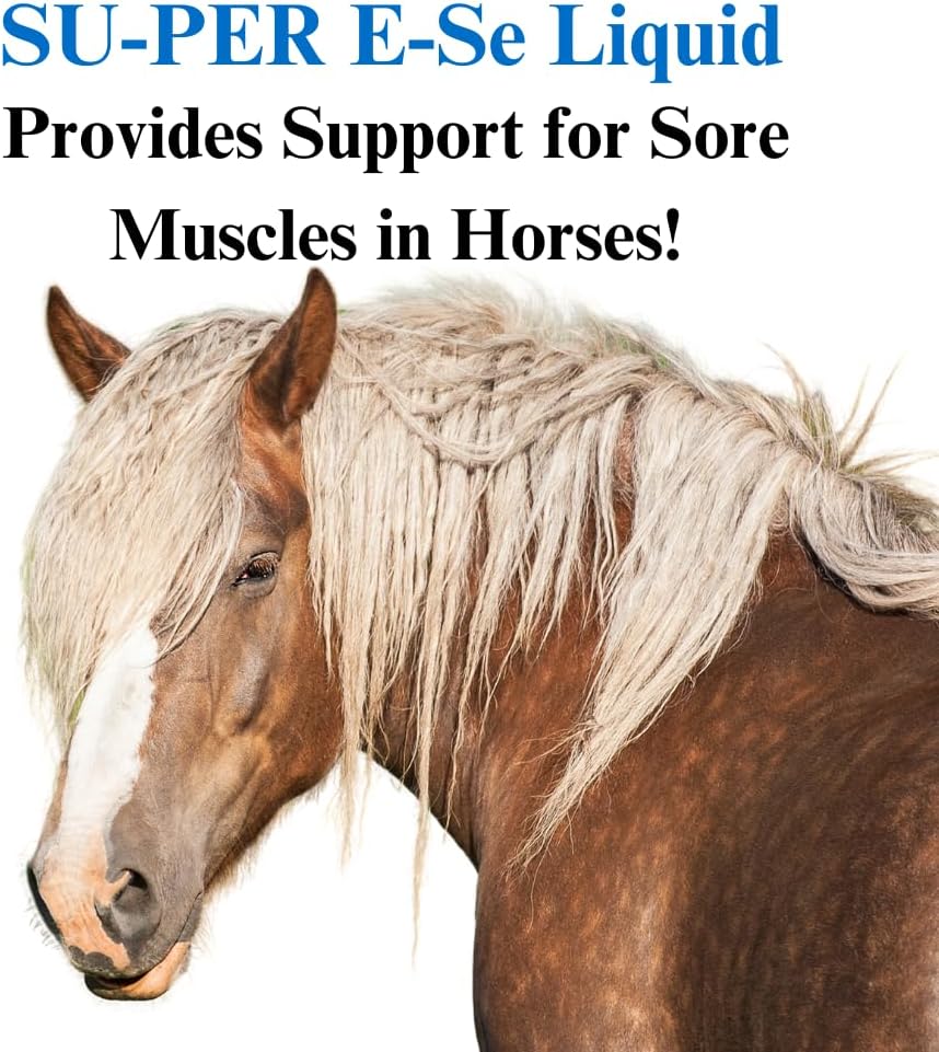 E-Se Horse Antioxidant Supplement - Vitamin E & Selenium for Muscle Support - 1 Gallon, 4 Month Supply
