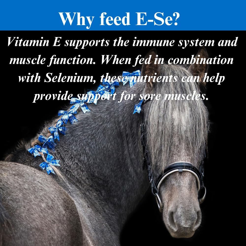 E-Se Horse Antioxidant Supplement - Vitamin E & Selenium for Muscle Support - 1 Gallon, 4 Month Supply