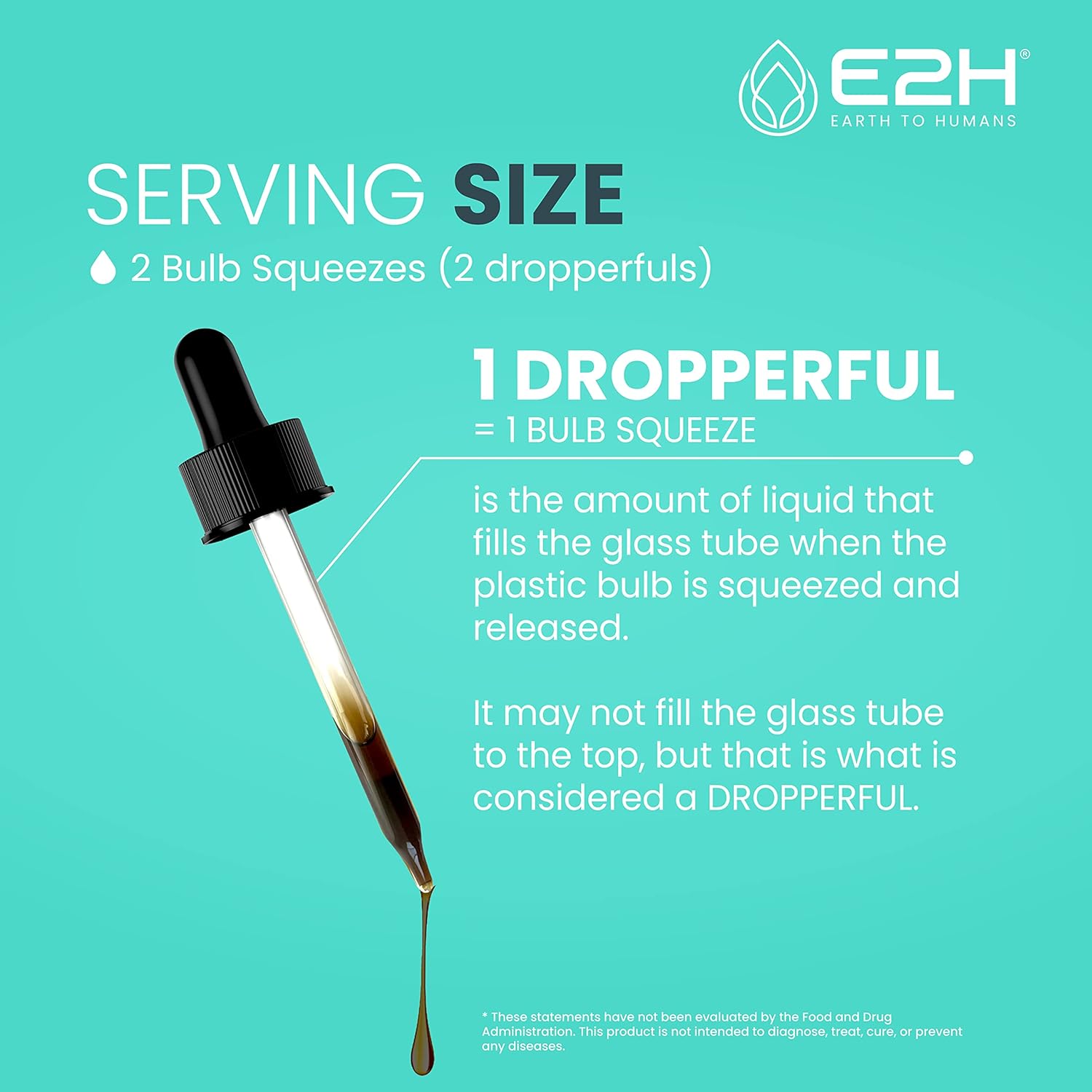 E2H Advanced Intestinal Support Supplement - Promotes Intestinal Balance and Gut Health - Wormwood and Black Walnut Extract - Non-GMO, Vegan - Pack of 3