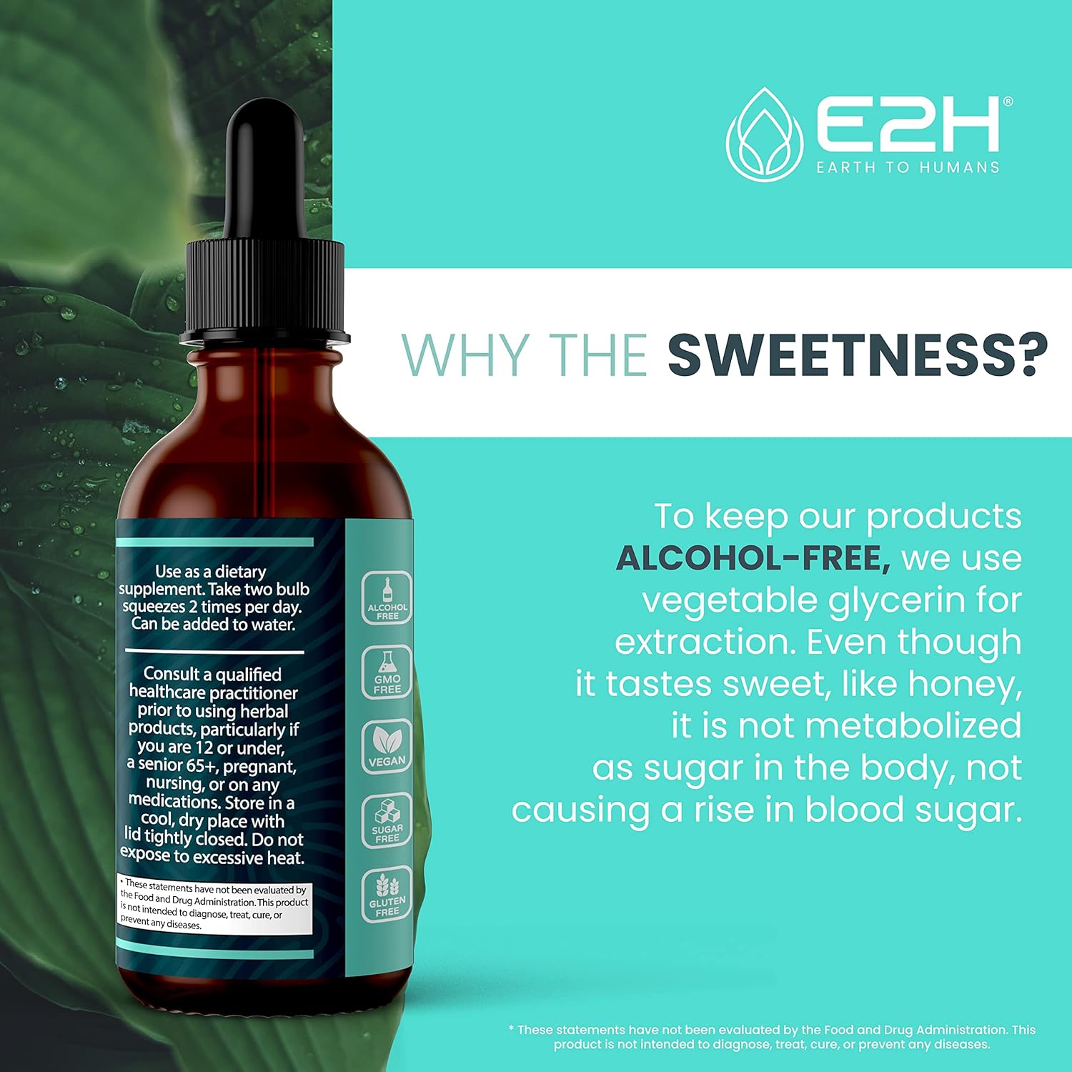 E2H Advanced Intestinal Support Supplement - Promotes Intestinal Balance and Gut Health - Wormwood and Black Walnut Extract - Non-GMO, Vegan - Pack of 3