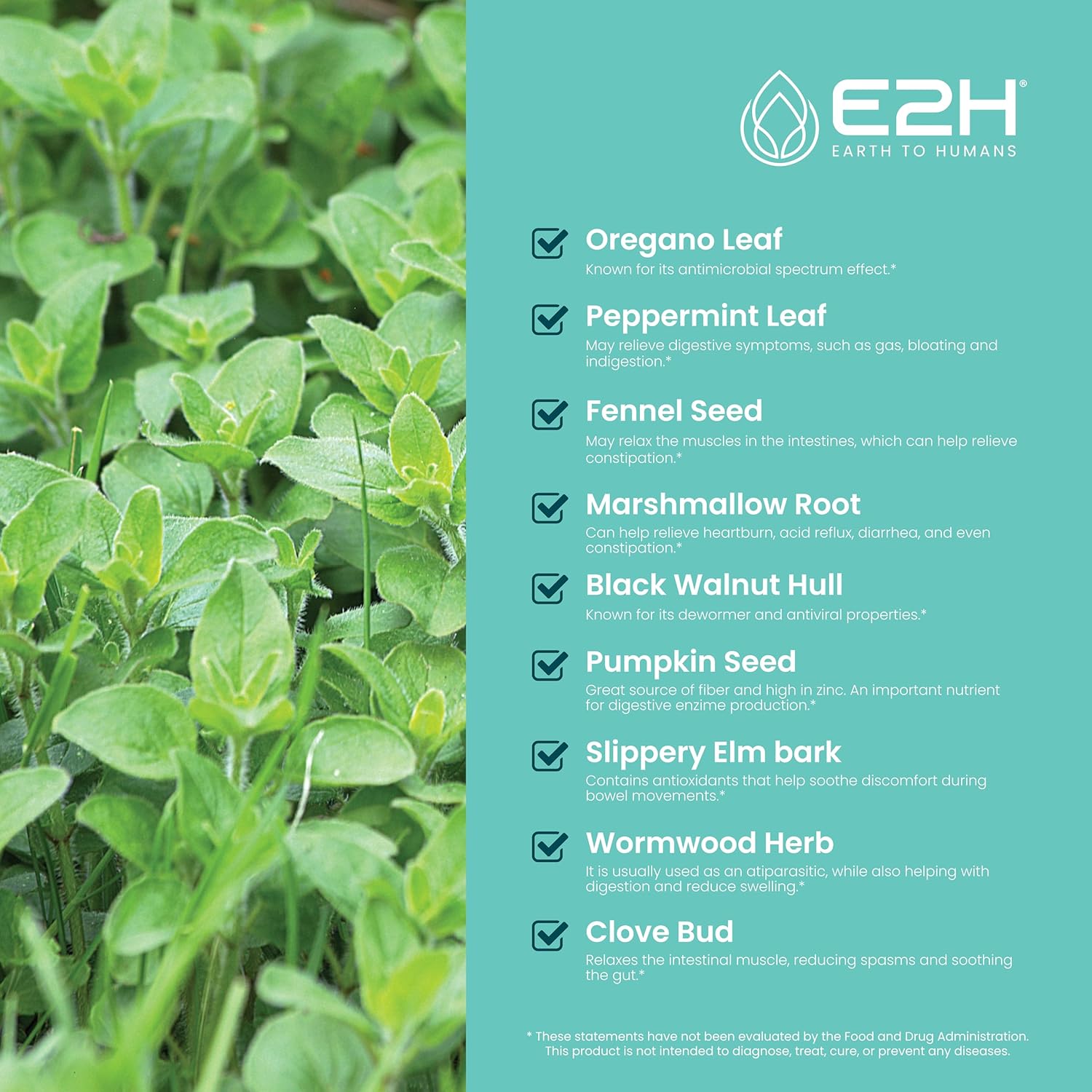 E2H Advanced Intestinal Support Supplement with Wormwood and Black Walnut Extract - Promotes Gut Health and Digestive System - Non-GMO, Vegan - Pack of 2 Bottles