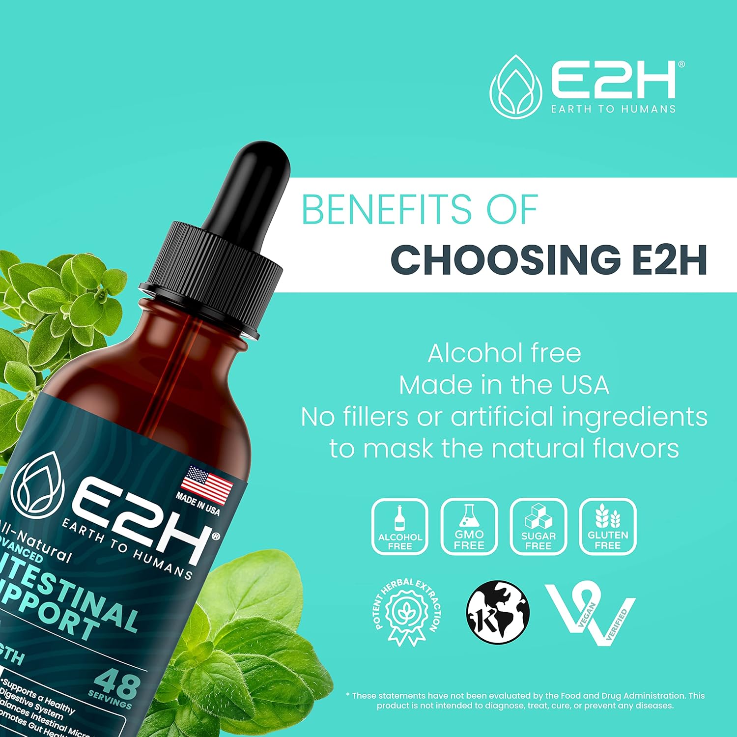 E2H Advanced Intestinal Support Supplement with Wormwood and Black Walnut Extract - Promotes Gut Health and Digestive System - Non-GMO, Vegan - Pack of 2 Bottles