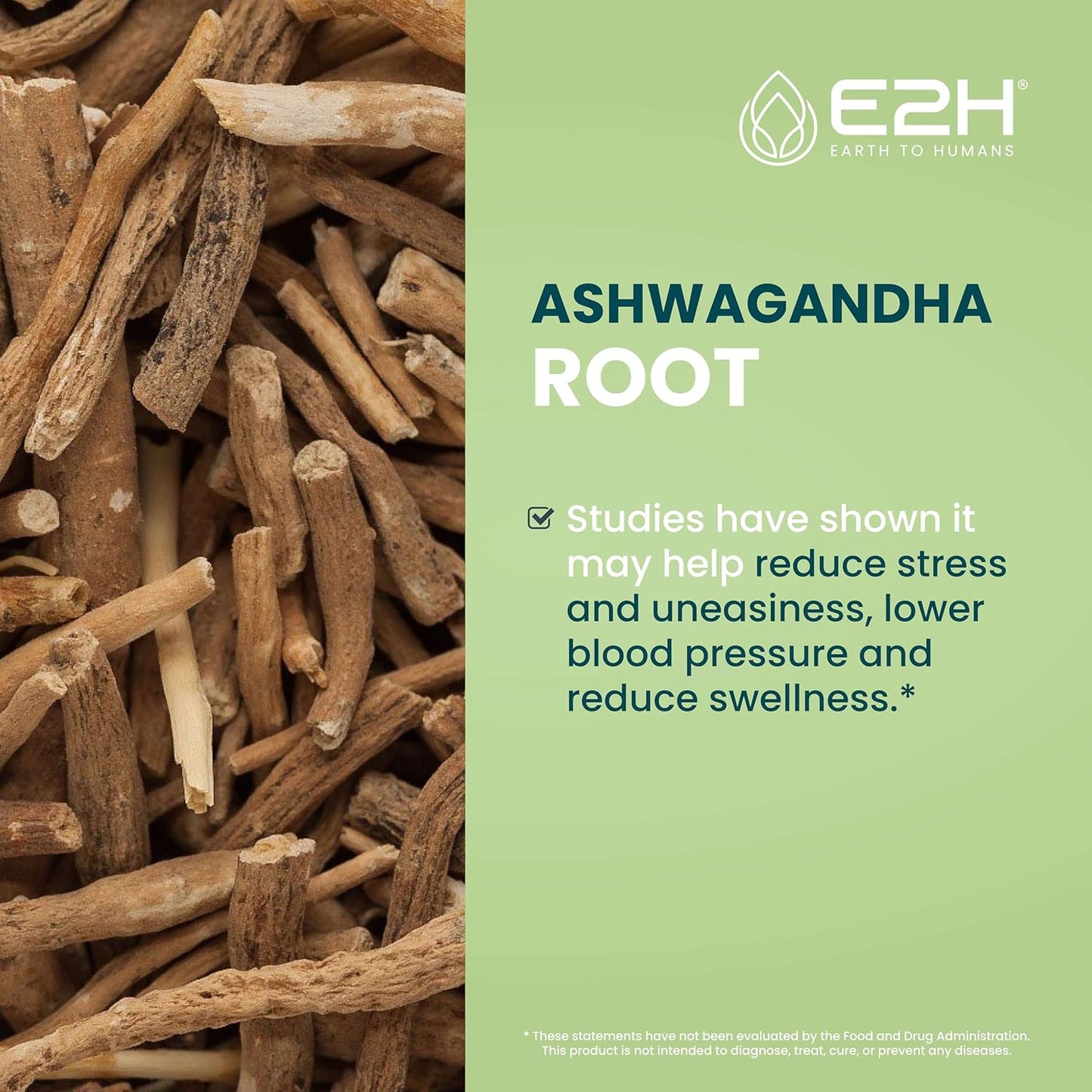 E2H Ashwagandha Liquid Drops - Organic Stress Relief Supplement for Mood Enhancement - Cortisol Manager for Vegan Non-GMO Wellness (3 Bottles)