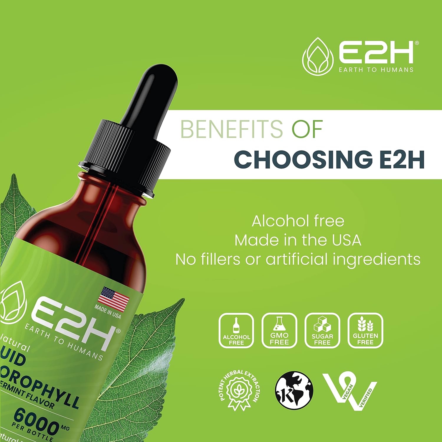 E2H Chlorophyll Liquid Drops - Natural Energy Booster, Immune Support, Internal Deodorant - Peppermint Flavor - Pack of 3