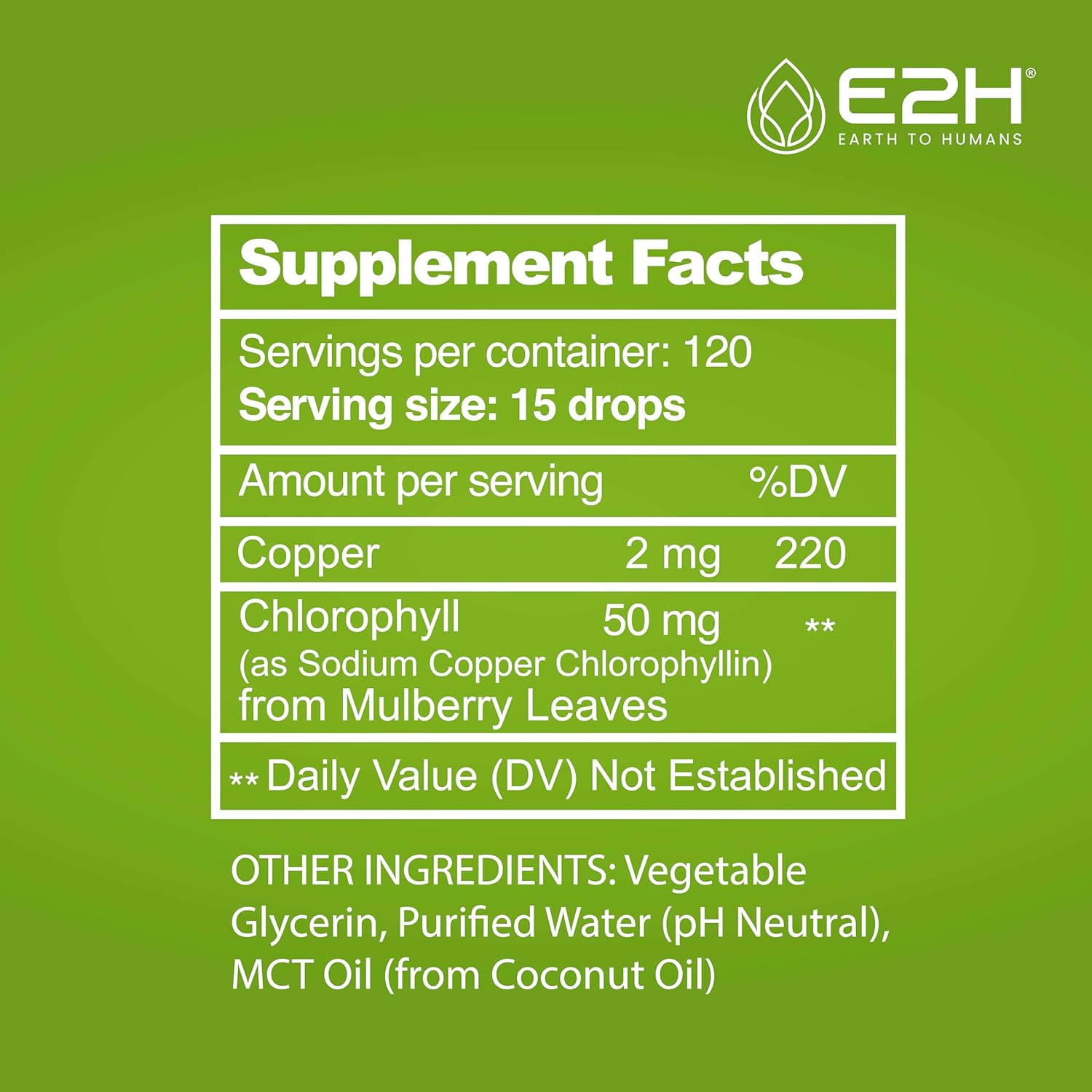 E2H Chlorophyll Liquid Drops: Energy Booster, Digestive Aid, Immune Support - Vegan, Gluten-Free, Non-GMO (2 Bottles)