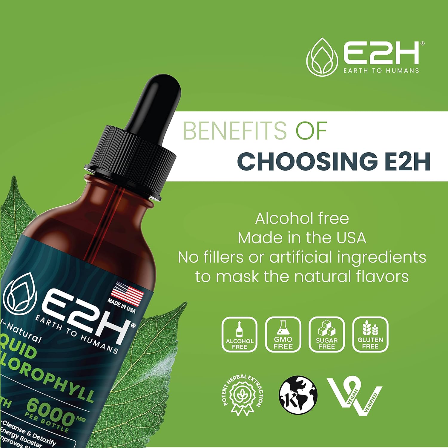 E2H Chlorophyll Liquid Drops: Energy Booster, Digestive Aid, Immune Support - Vegan, Gluten-Free, Non-GMO (2 Bottles)