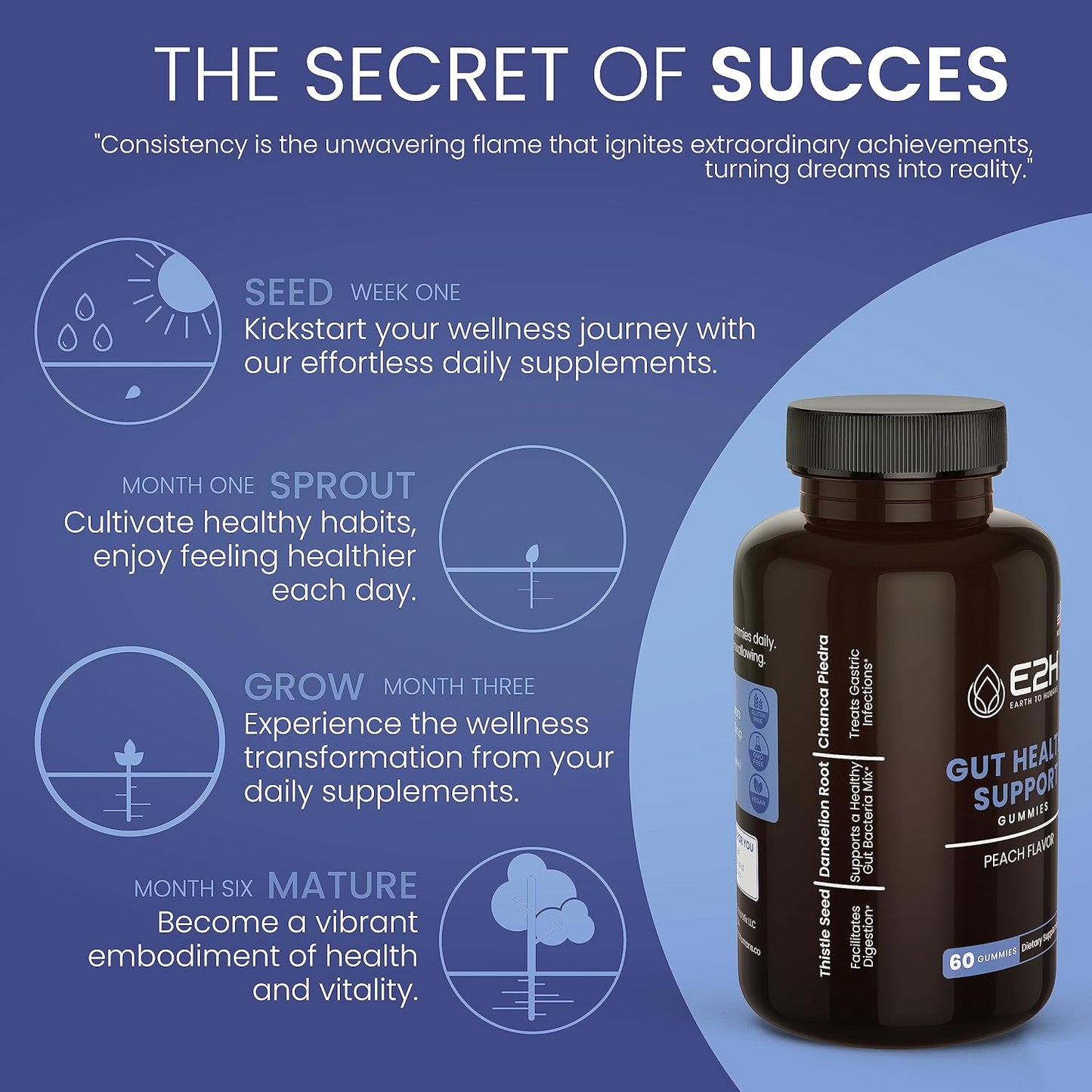 E2H Earth to Humans Gut Support Gummies - 60 Count - Gelatin-Free, Gluten-Free, Vegan & Non-GMO Supplement