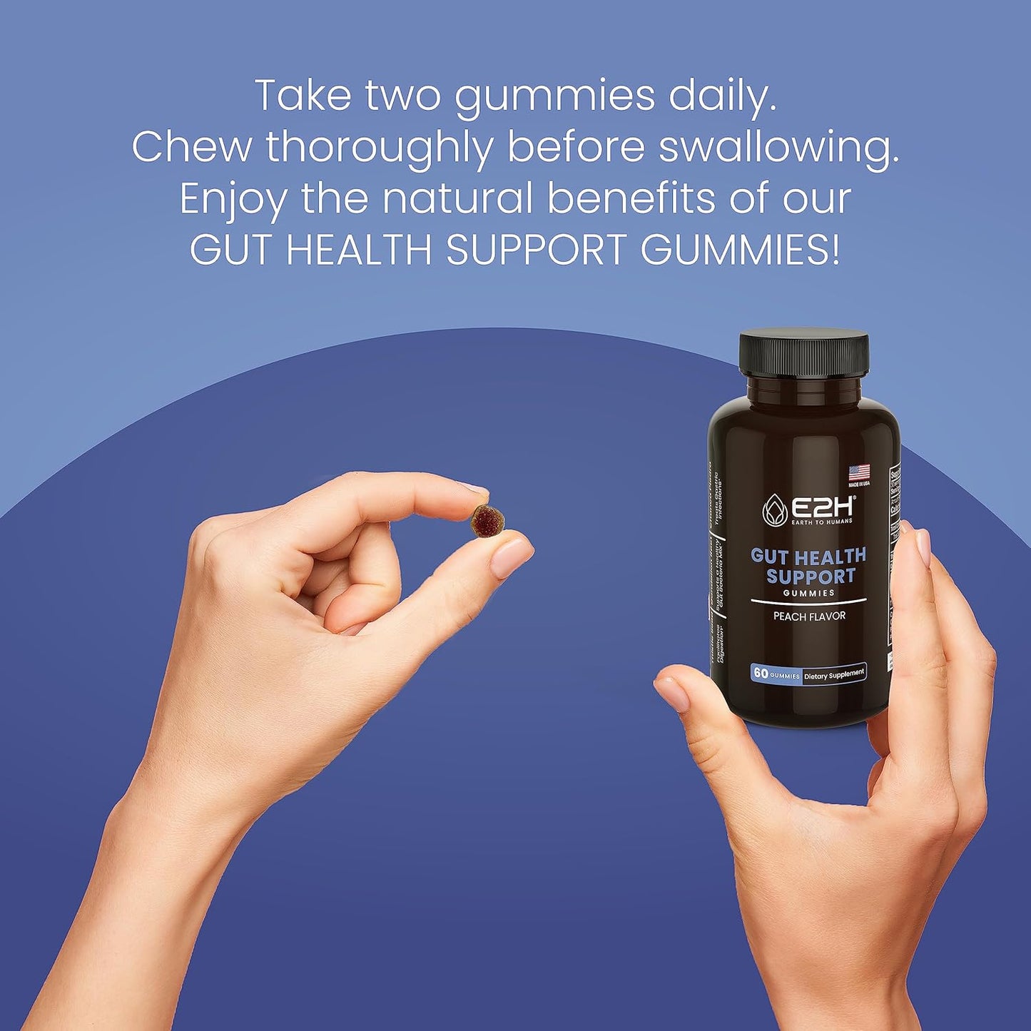 E2H Earth to Humans Gut Support Gummies - 60 Count - Gelatin-Free, Gluten-Free, Vegan & Non-GMO Supplement