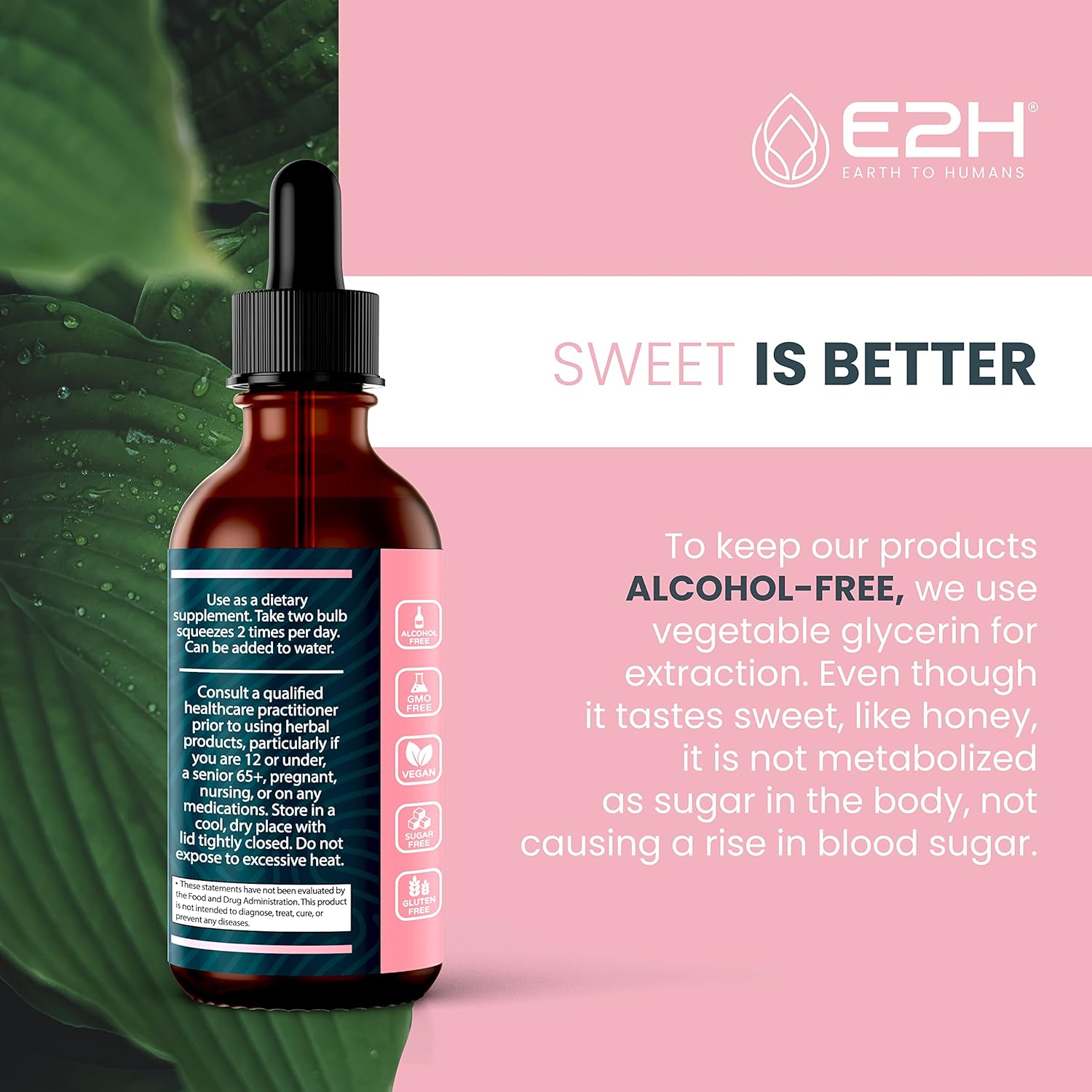 E2H Earth to Humans Liquid Breastfeeding Supplement - Lactation Support with Fenugreek, Milk Thistle, Fennel - Vegan - Alcohol-Free - Pack of 3