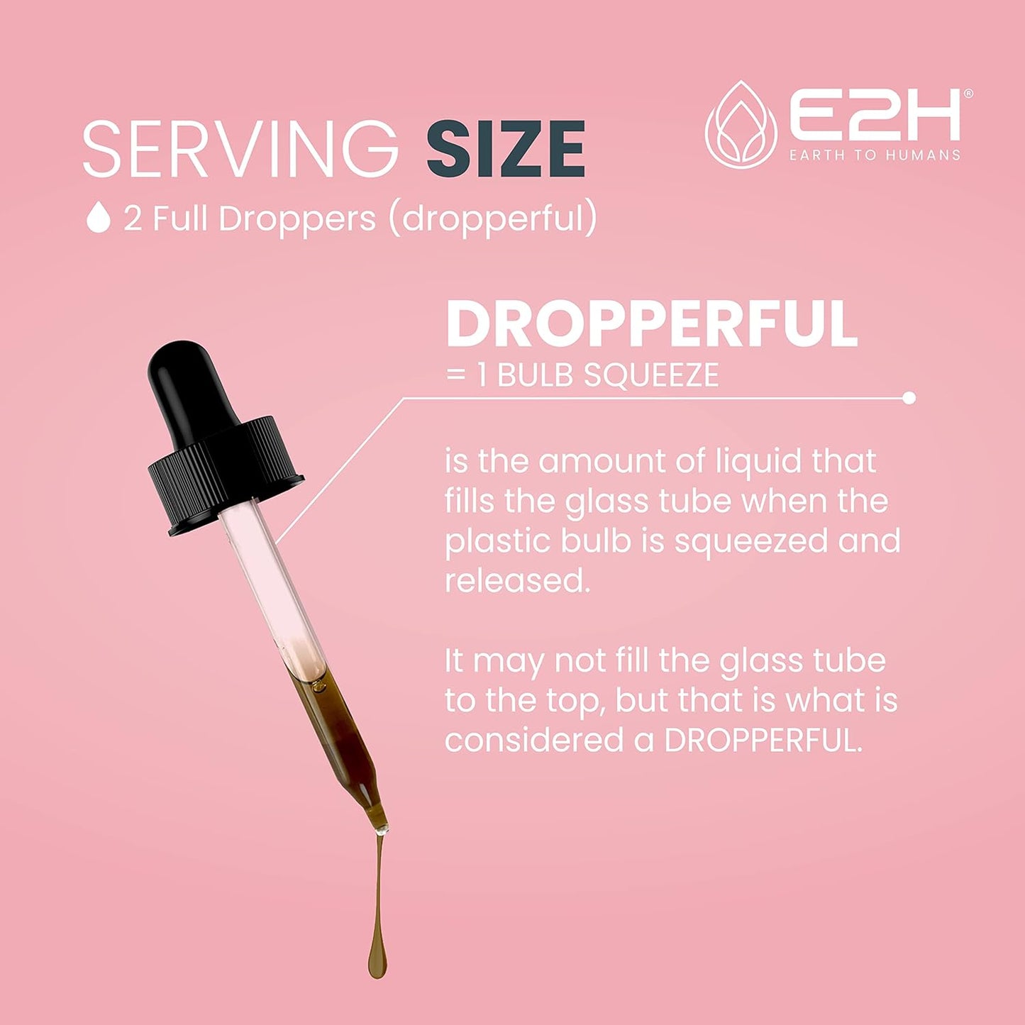 E2H Earth to Humans Liquid Breastfeeding Supplement - Lactation Support with Fenugreek, Milk Thistle, Fennel - Vegan - Alcohol-Free - Pack of 3