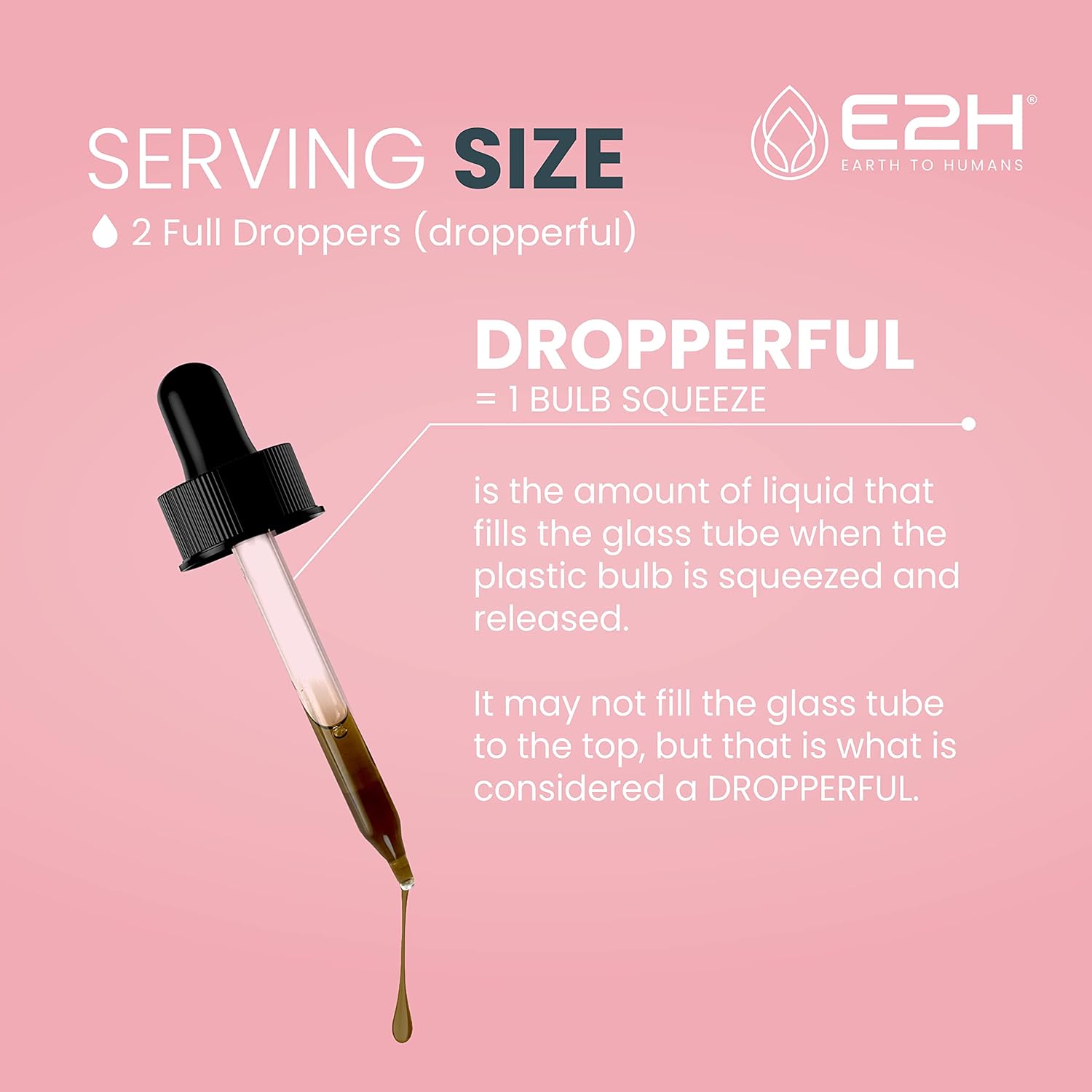 E2H Earth to Humans Liquid Breastfeeding Supplement - Lactation Support with Fenugreek, Milk Thistle, Fennel - Vegan - Alcohol-Free - Pack of 3