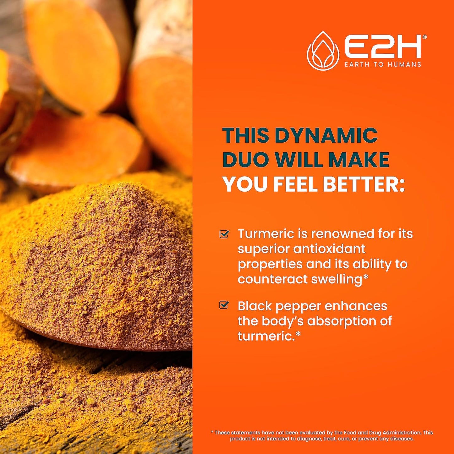 E2H Earth to Humans Turmeric Curcumin Drops with Black Pepper - Joint Support Supplement - Vegan - Non-GMO - 2 Bottles