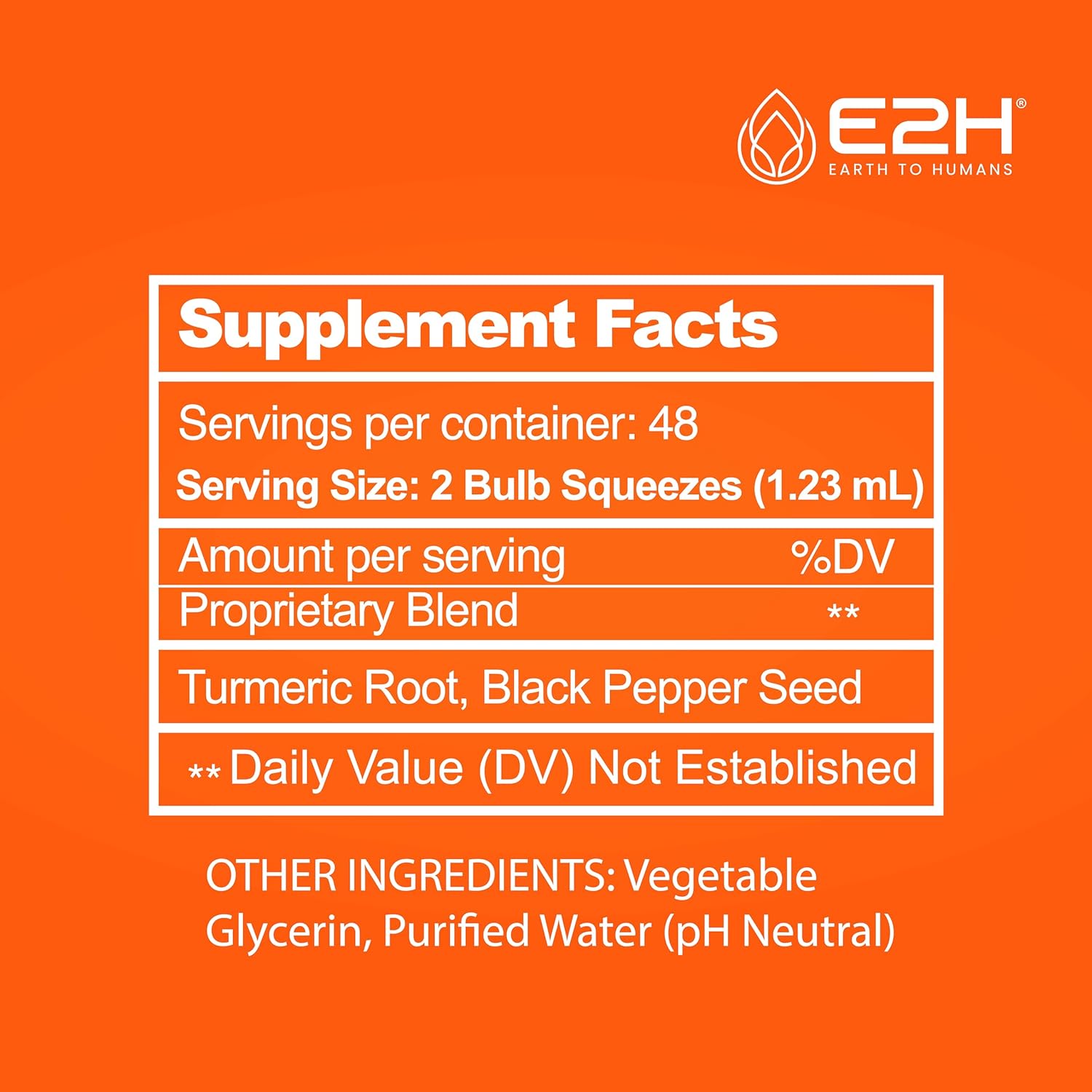 E2H Earth to Humans Turmeric Curcumin Drops with Black Pepper - Joint Support Supplement - Vegan - Non-GMO - 2 Bottles