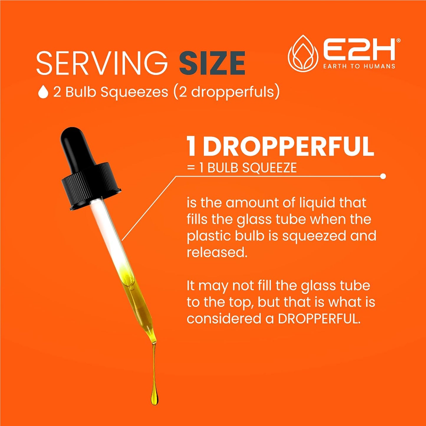 E2H Earth to Humans Turmeric Curcumin Drops with Black Pepper - Joint Support Supplement - Vegan - Non-GMO - 2 Bottles