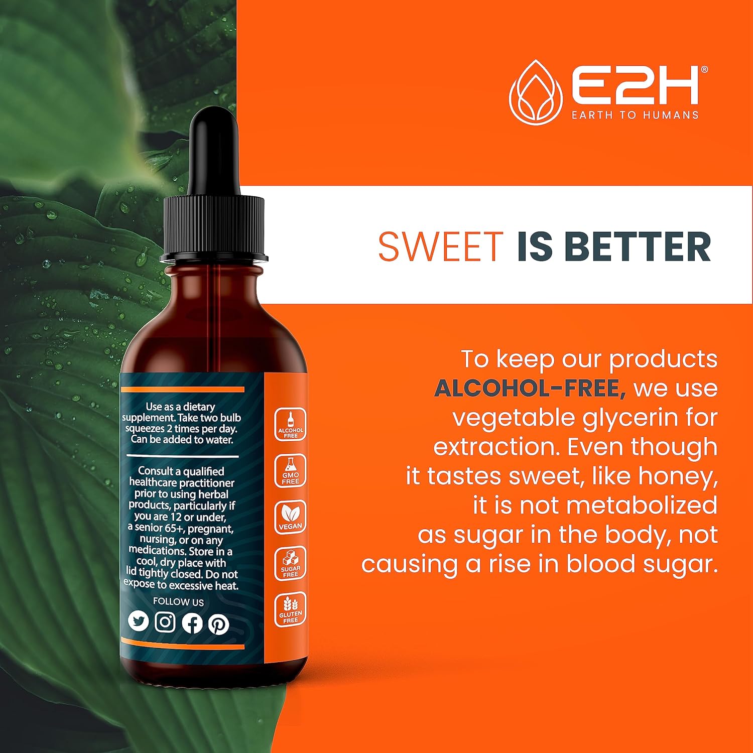 E2H Earth to Humans Turmeric Curcumin Drops with Black Pepper - Joint Support Supplement - Vegan - Non-GMO - 2 Bottles