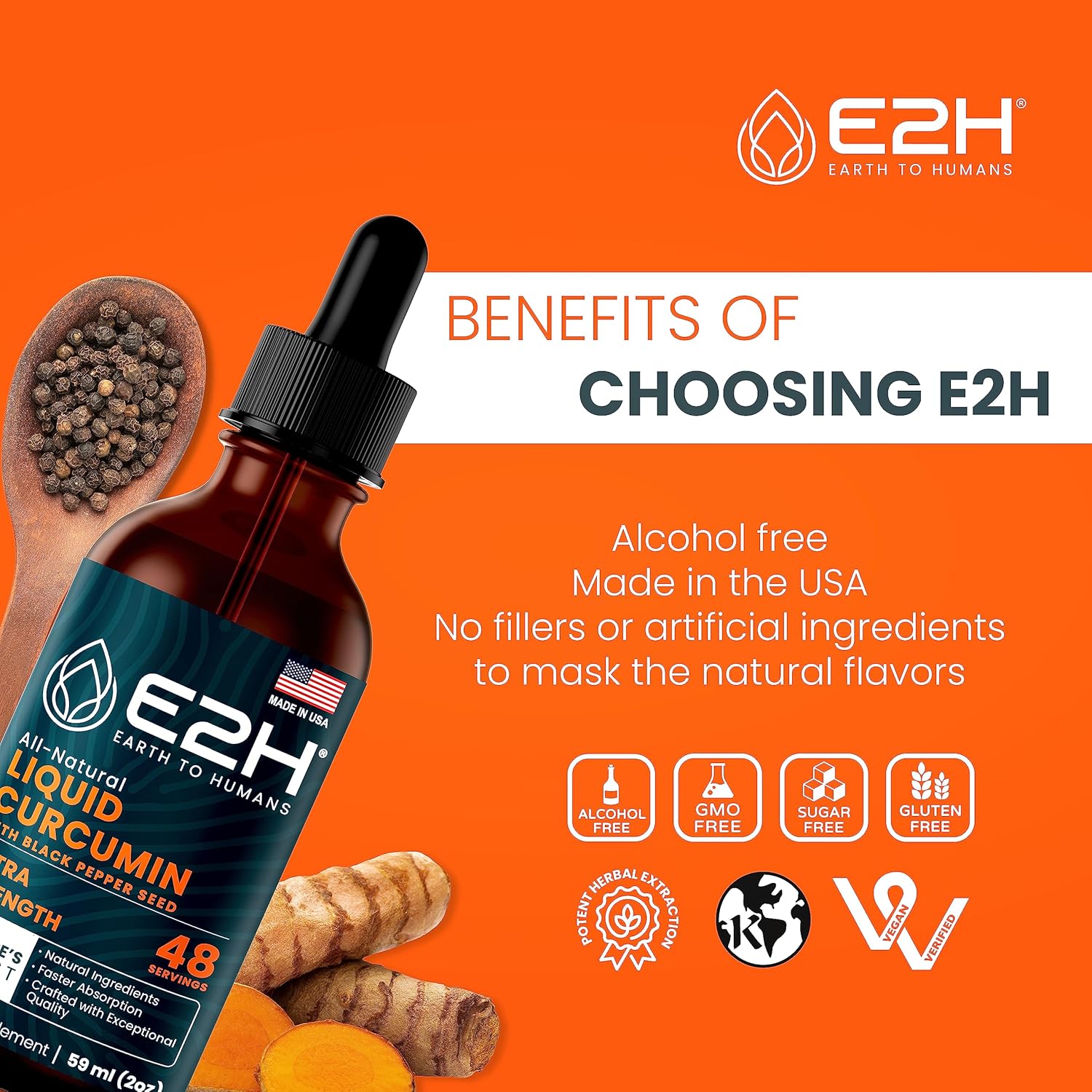 E2H Earth to Humans Turmeric Curcumin Drops with Black Pepper - Joint Support Supplement - Vegan - Non-GMO - 2 Bottles