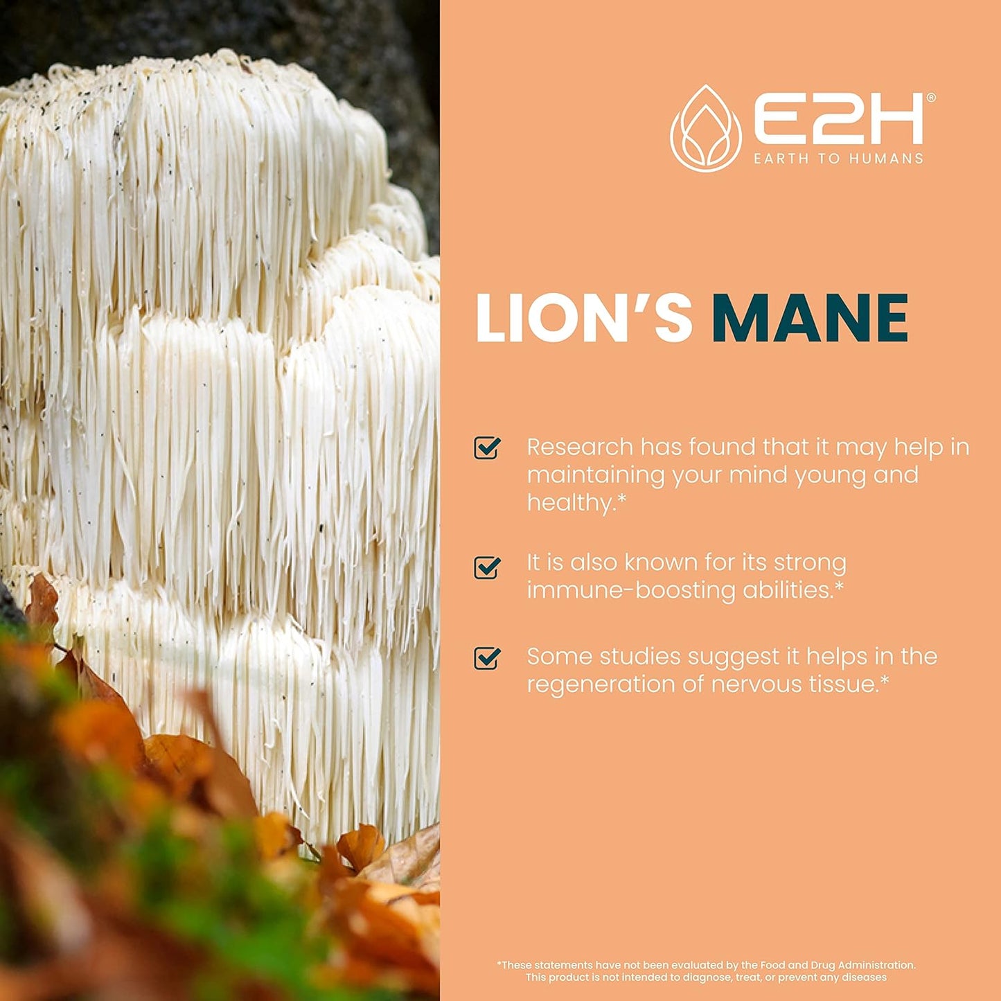 E2H Lion’s Mane Mushroom Extract - Enhances Mental Clarity, Memory & Focus - Immune Support Supplement - Non-GMO, Vegan - (3 Bottles)
