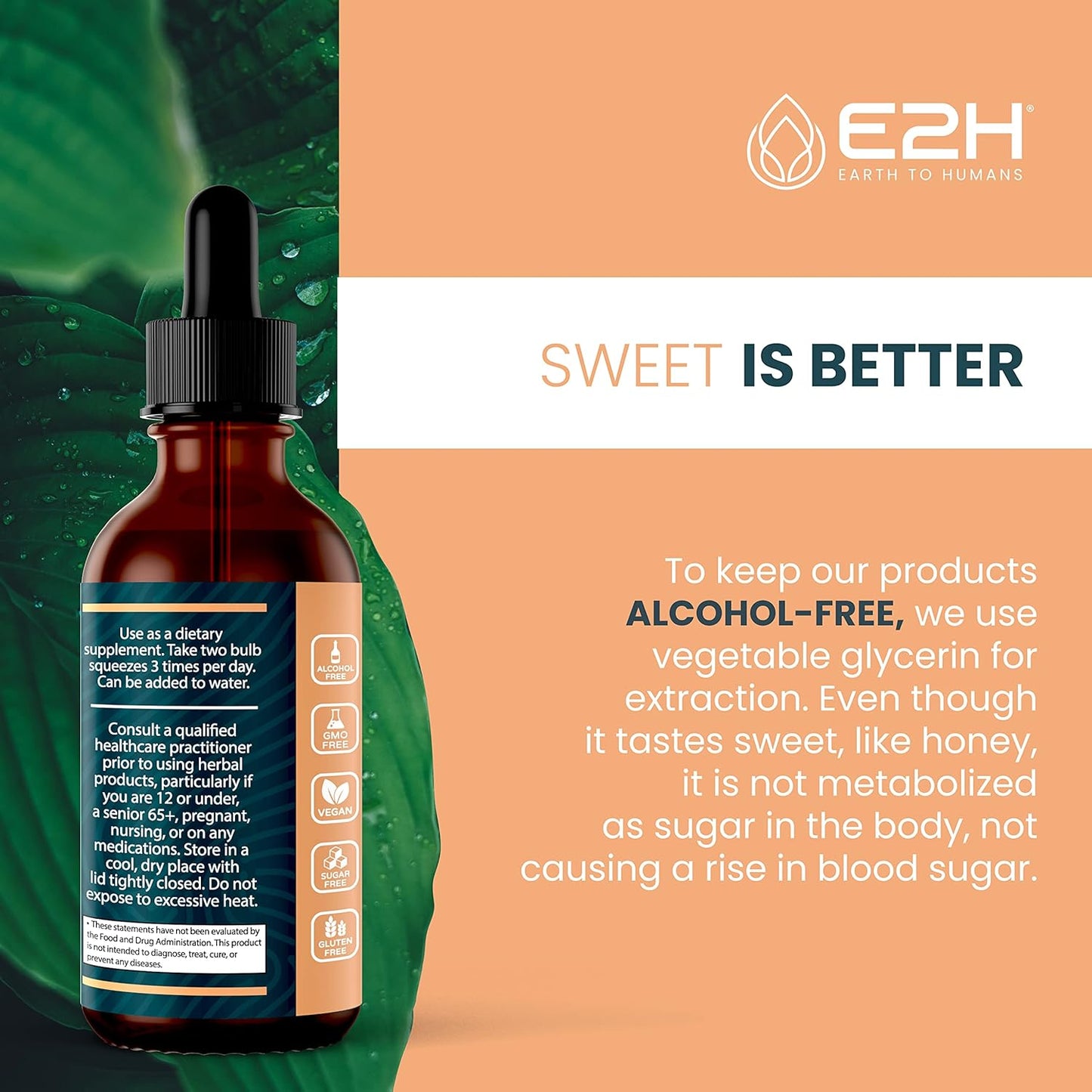 E2H Lion’s Mane Mushroom Extract - Enhances Mental Clarity, Memory & Focus - Immune Support Supplement - Non-GMO, Vegan - (3 Bottles)