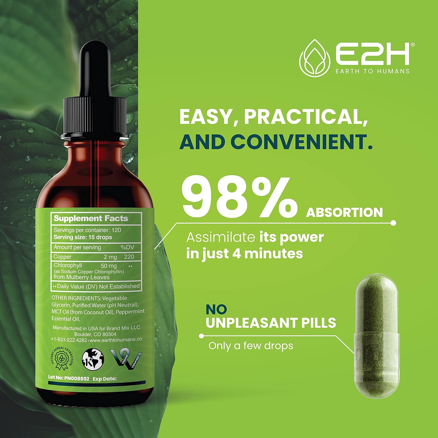 E2H Liquid Chlorophyll Bundle - Natural and Peppermint Flavor, Vegan, Non-GMO - 2 Fl Oz Each (4 Fl Oz Total)