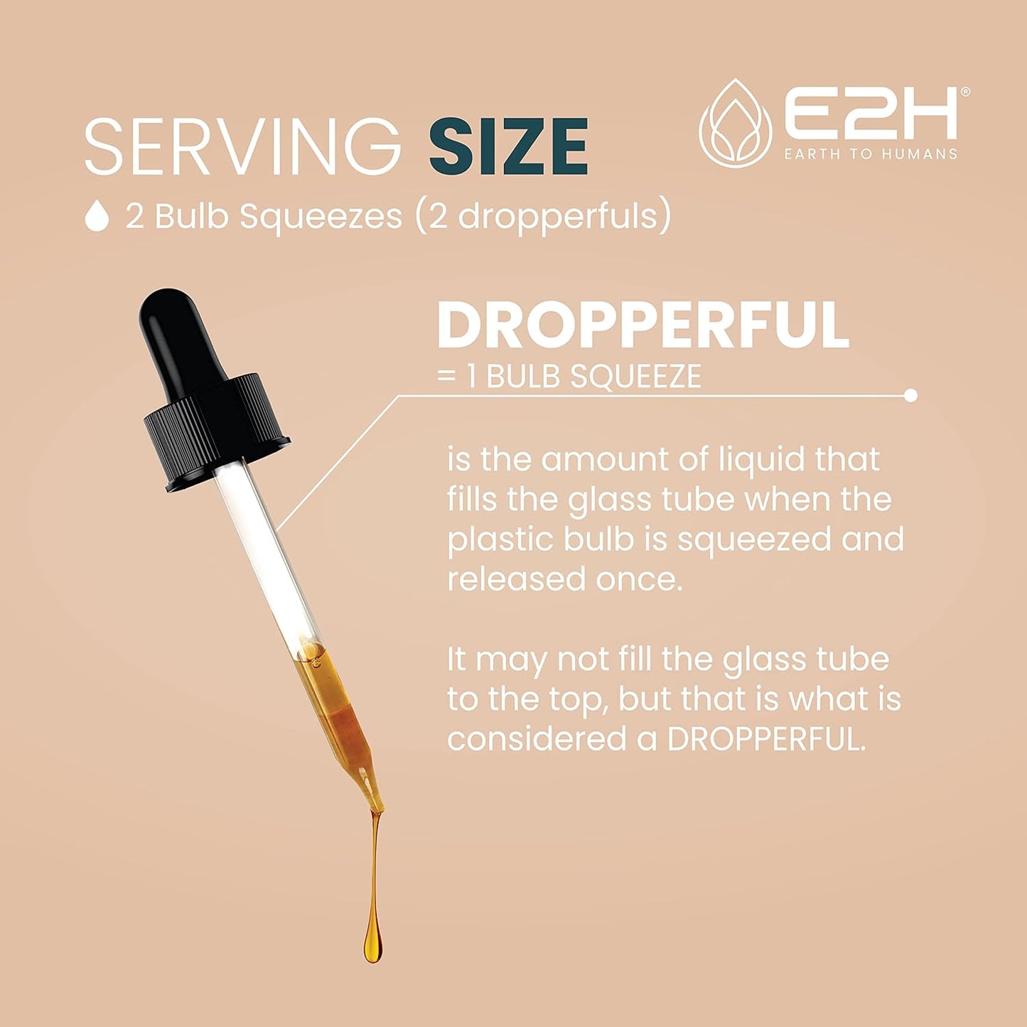 E2H Reishi Mushroom Extract: Natural Energy & Wellness Support - Advanced Mushroom Supplement - Non-GMO, Vegan - 3 Bottles