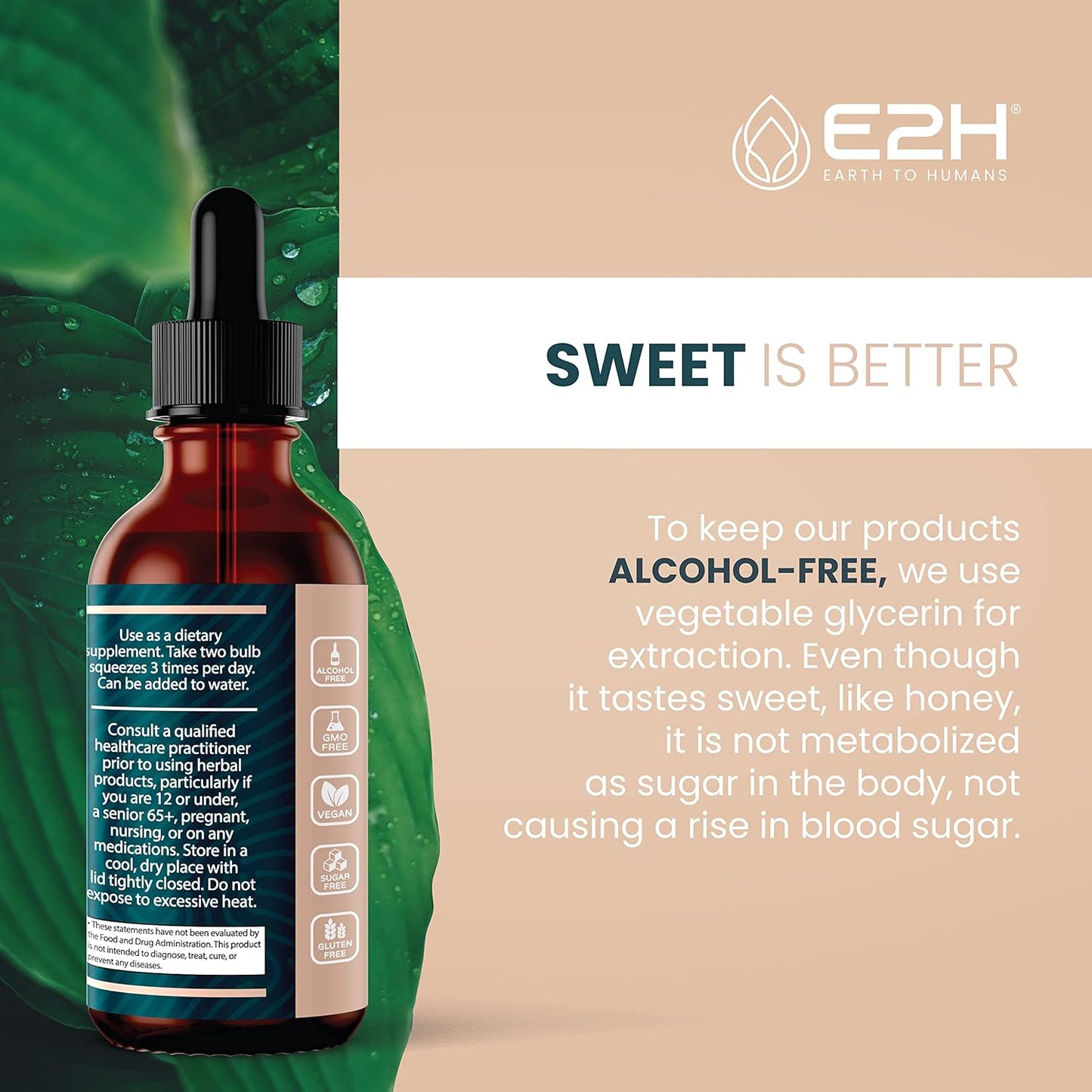 E2H Reishi Mushroom Extract: Natural Energy & Wellness Support - Advanced Mushroom Supplement - Non-GMO, Vegan - 3 Bottles