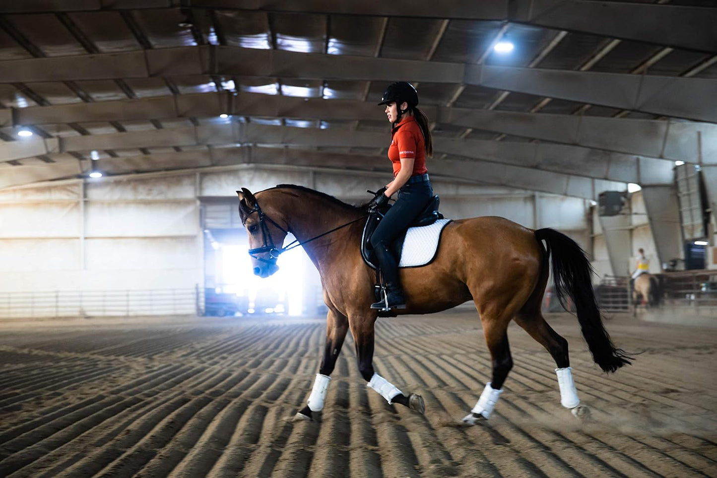 Eagle Equine MagnaGard Gastric Support Powder Supplement for Horses - Ulcer Relief, Calming Formula, 20lb Bucket, 5-Month Supply - BoostGo Australia